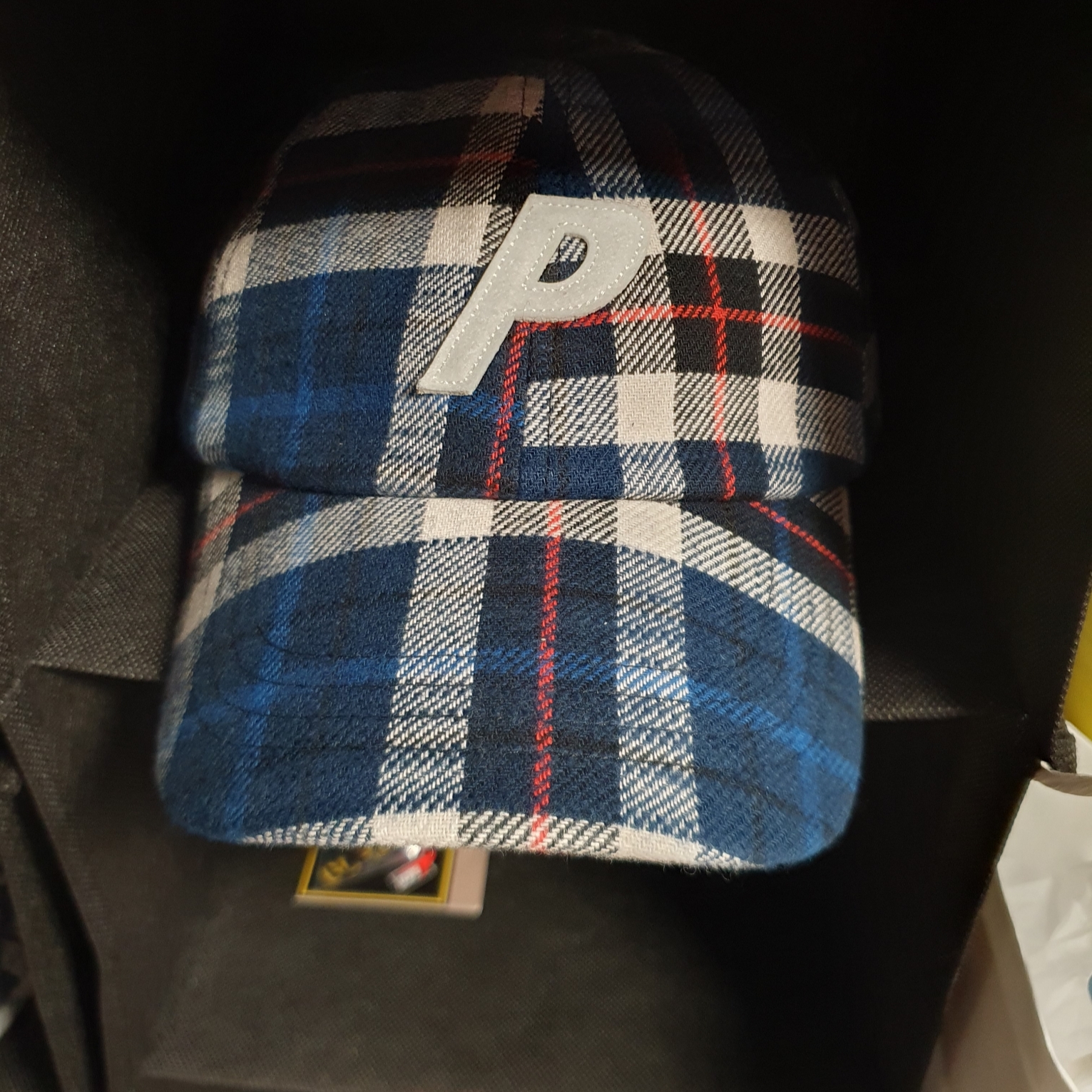 Palace Gore-Tex Plaid P 6-Panel Navy Check - 22FW 착용 스타일