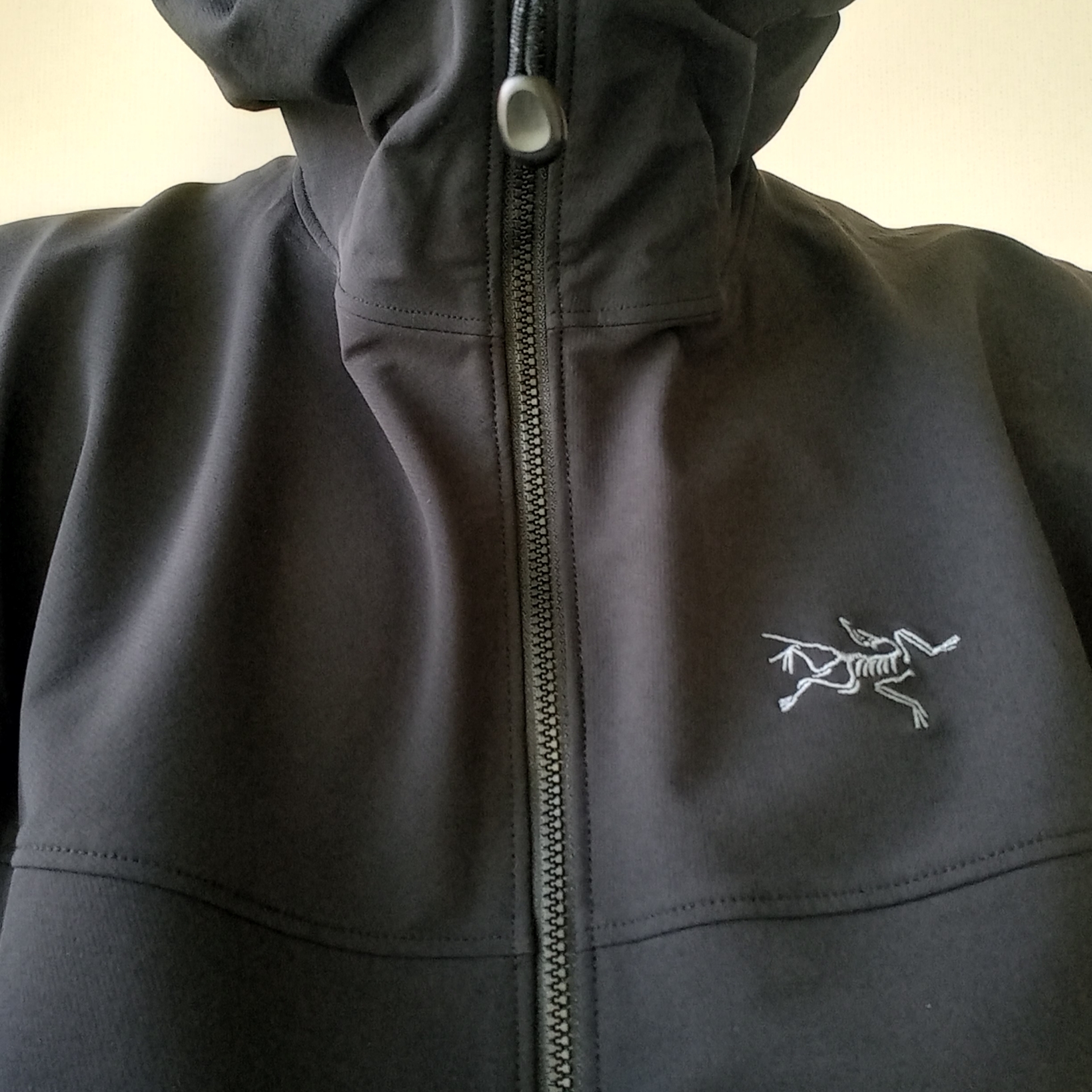 Arc'teryx Gamma Hoody Black, Arc'teryx Gamma Hoody Black 착용 스타일 - 2
