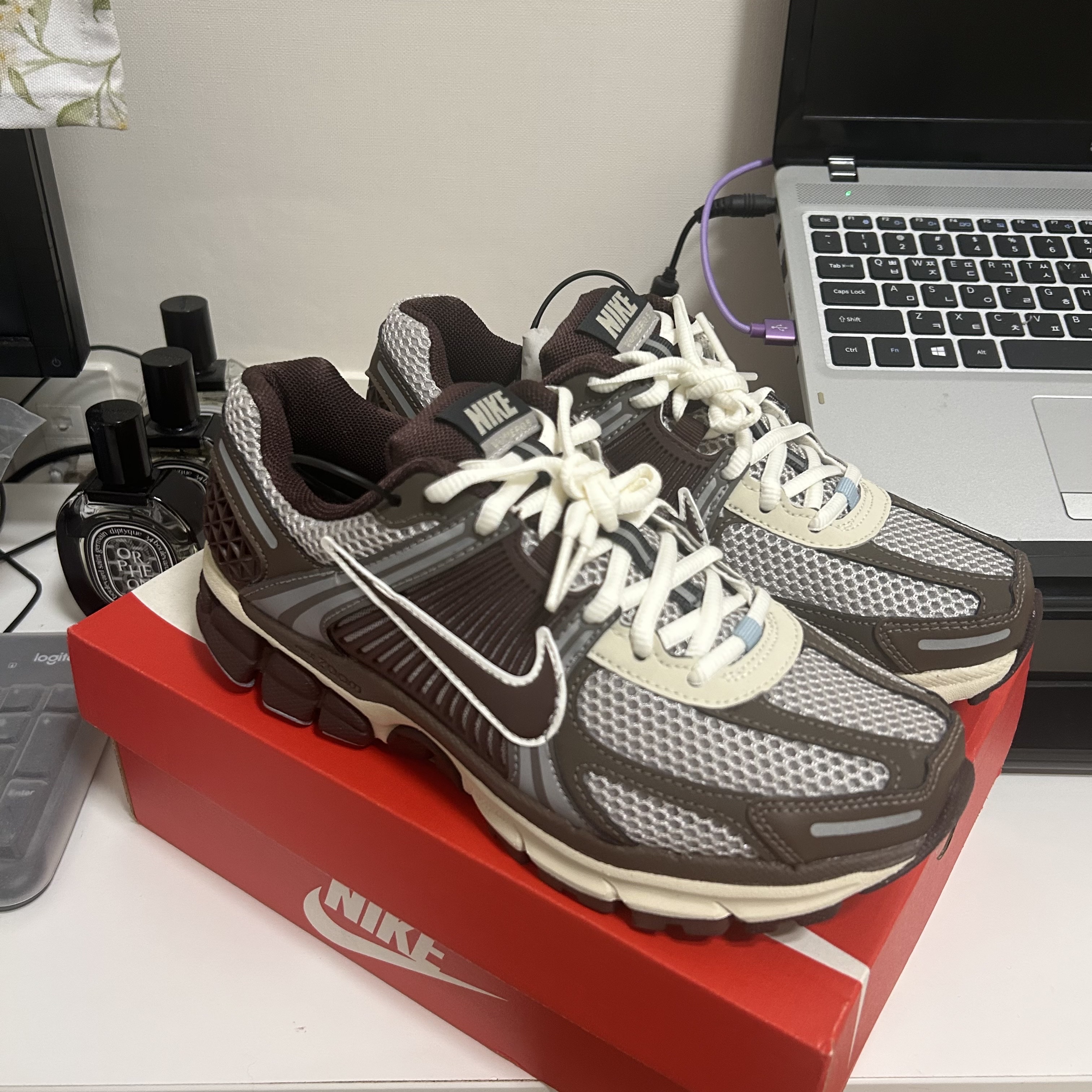 (W) Nike Zoom Vomero 5 Light Iron Ore Earth Fossil 착용 스타일