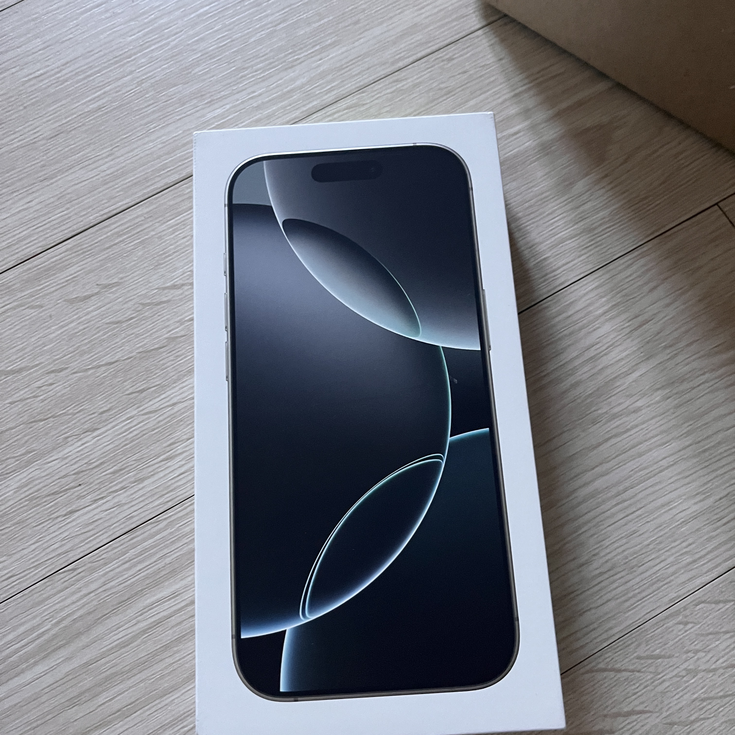 Apple iPhone 16 Pro 128GB White Titanium (Korean Ver.) 착용 스타일