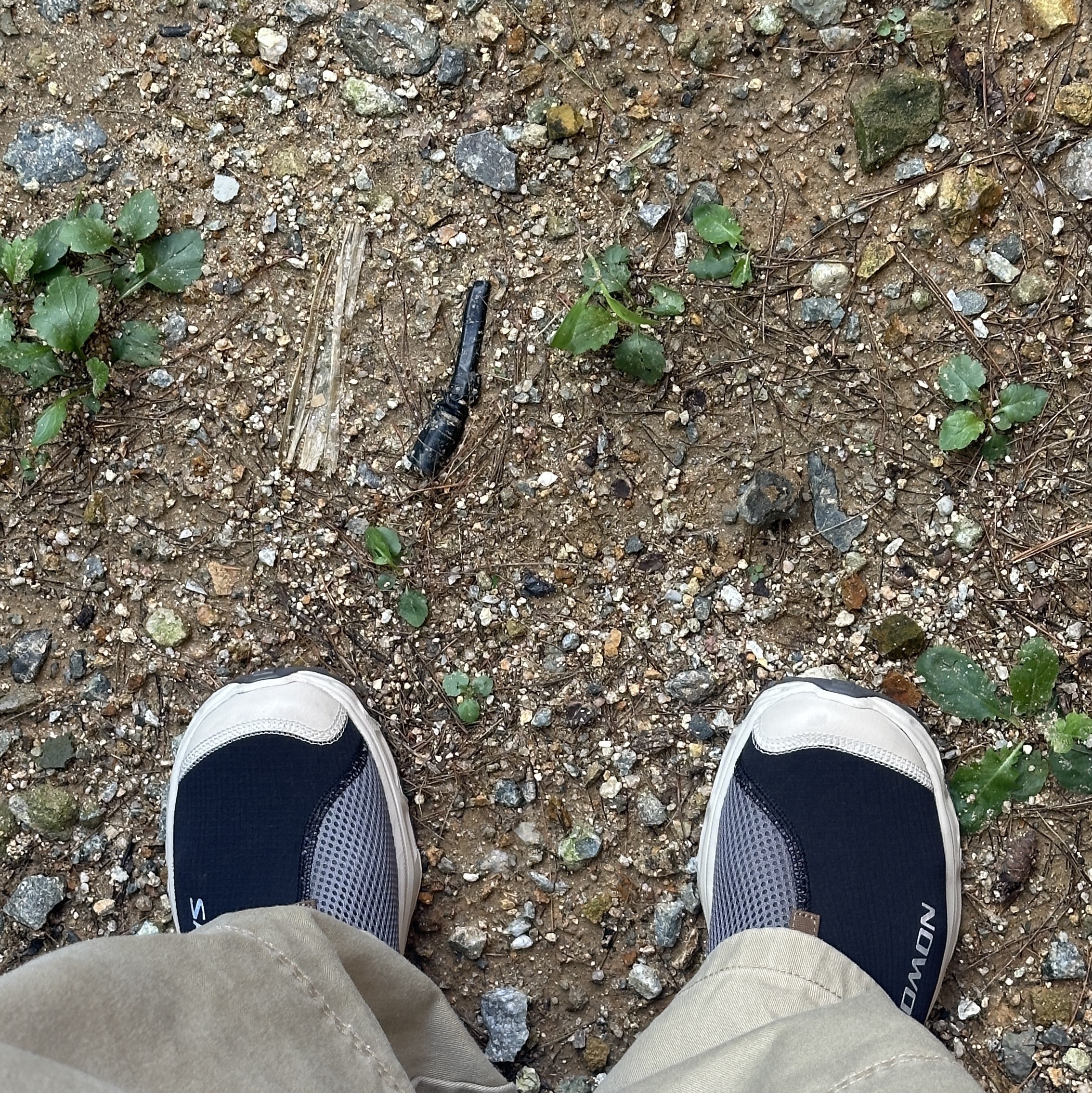 Salomon RX Slide 3.0 Black Plum Kitten 착용 스타일 - 1