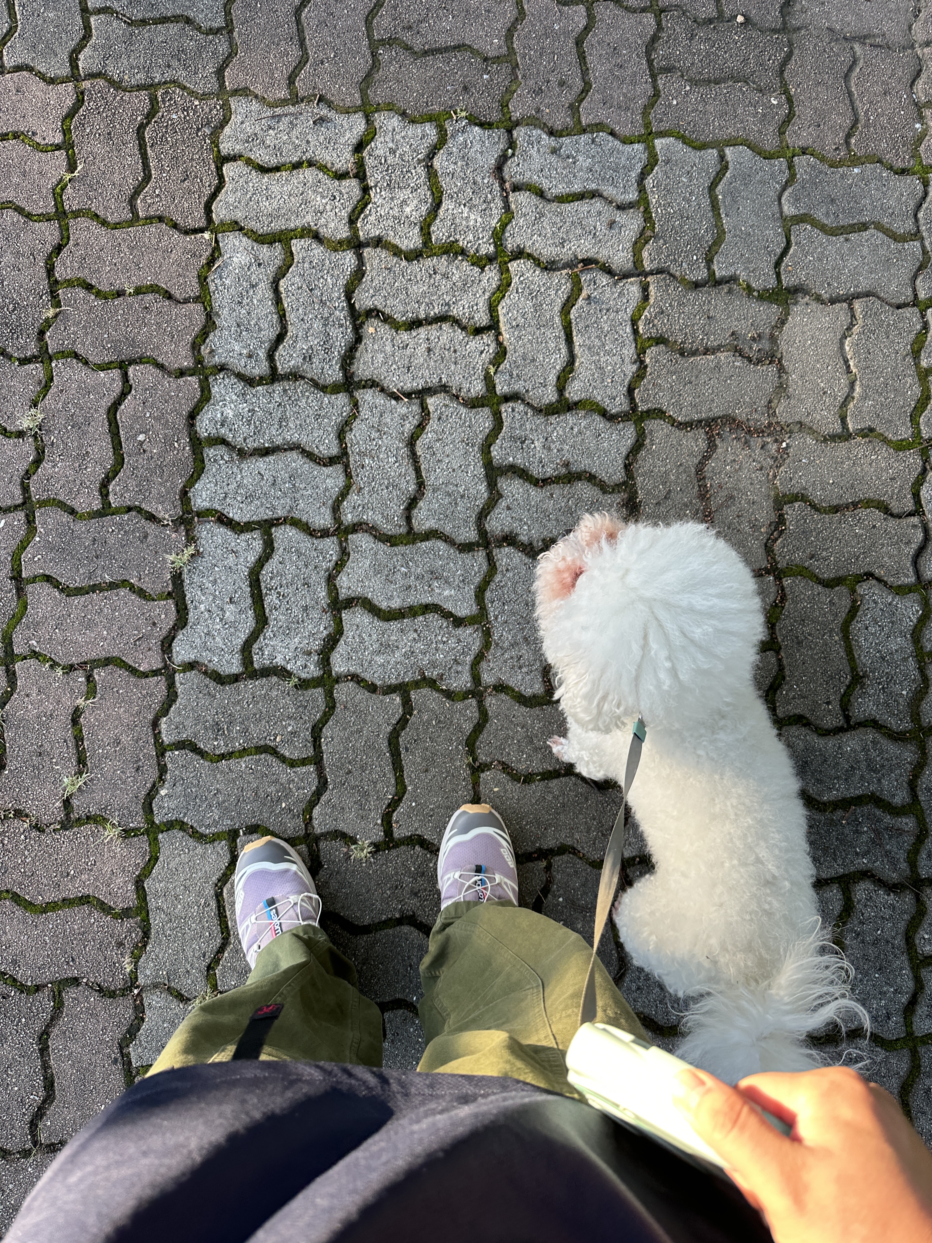 Salomon XT-6 Quail Plum Kitten 착용 스타일
