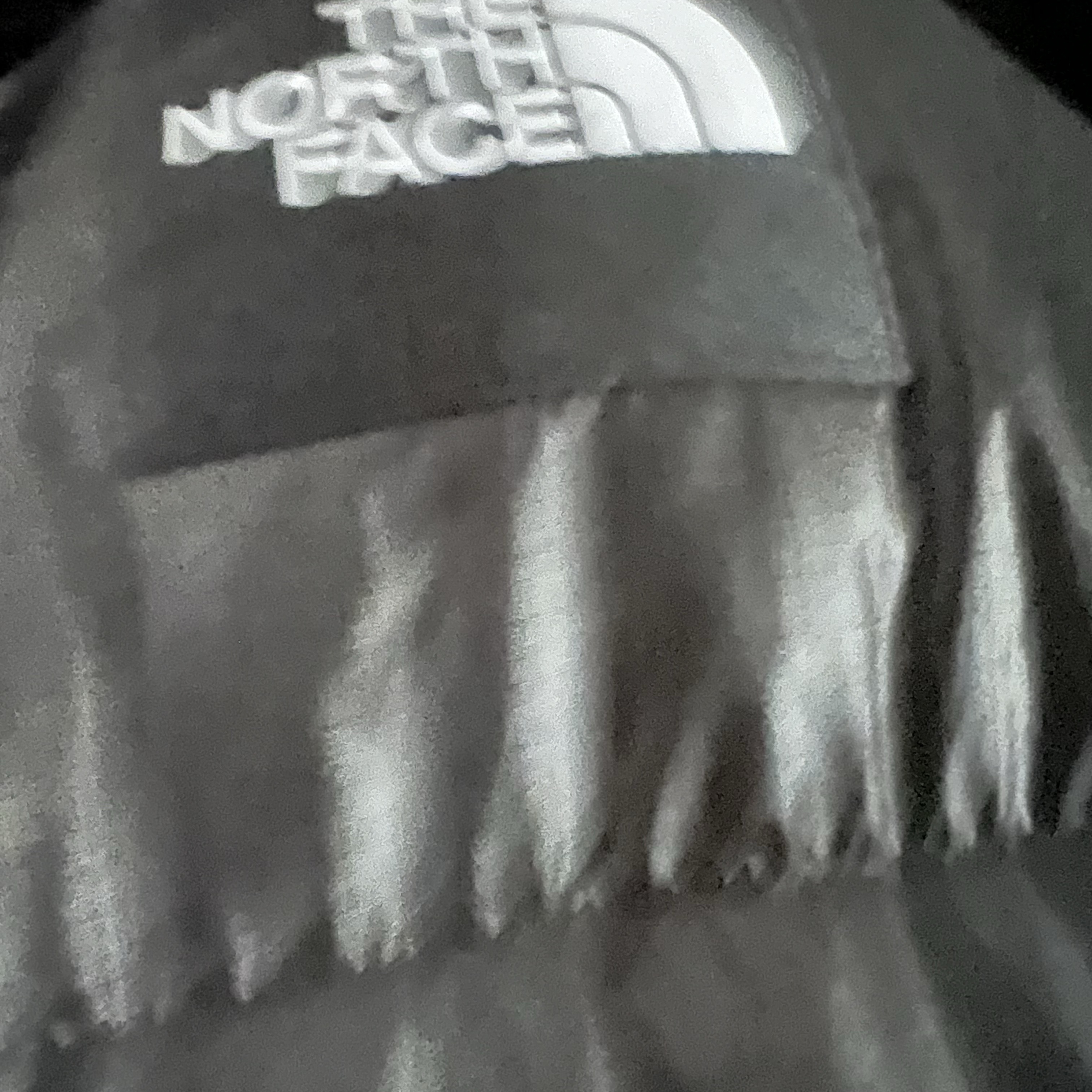 (W) The North Face White Label Novelty Nuptse Down Jacket Black 착용 스타일