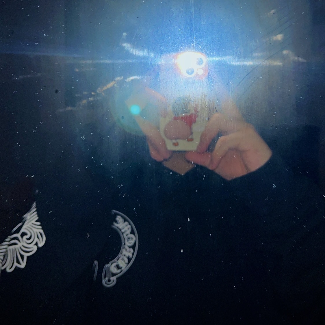 Chrome Hearts Horseshoe Floral Hoodie Black 착용 스타일