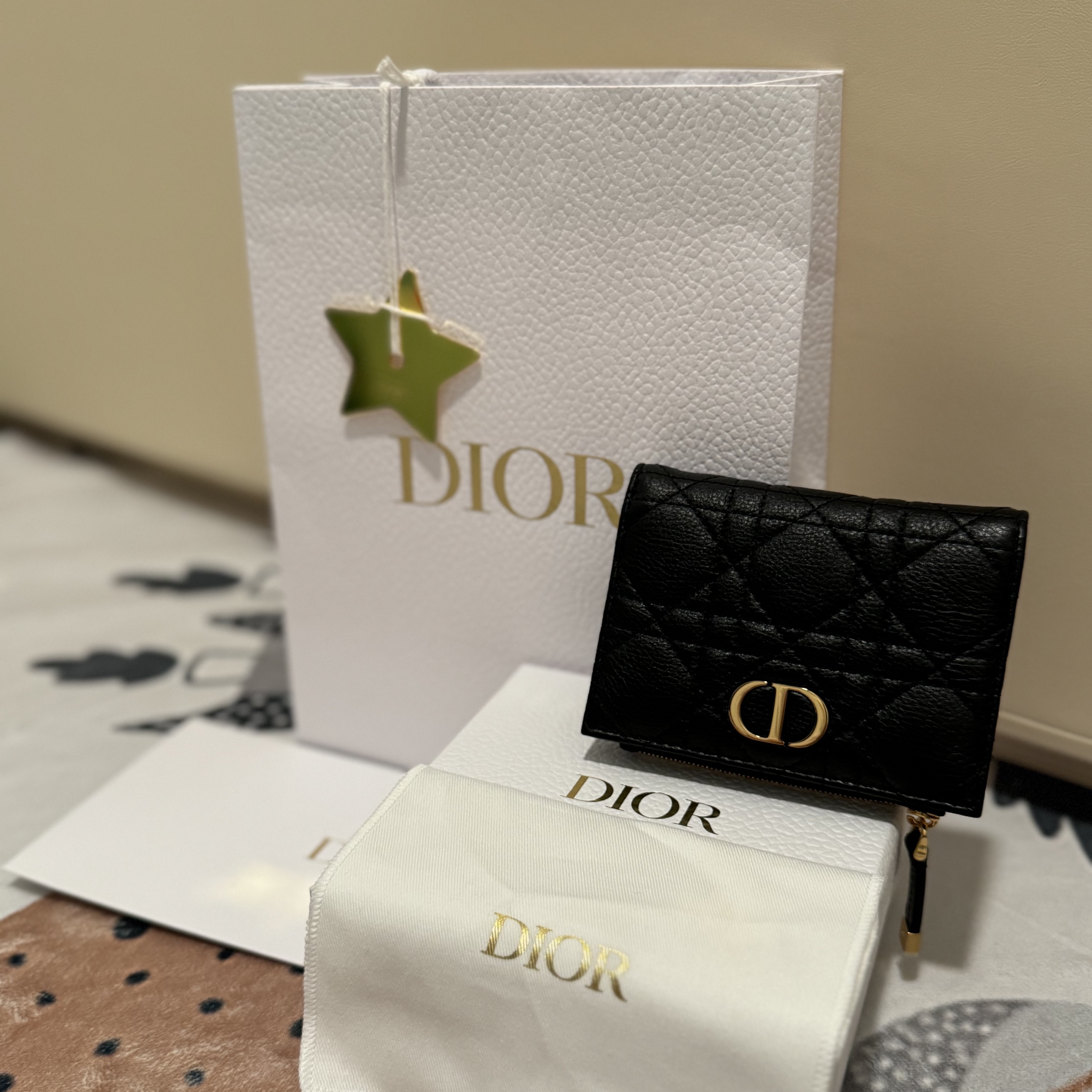 Dior Caro Dahlia Wallet Black Supple Cannage Calfskin 착용 스타일 - 1