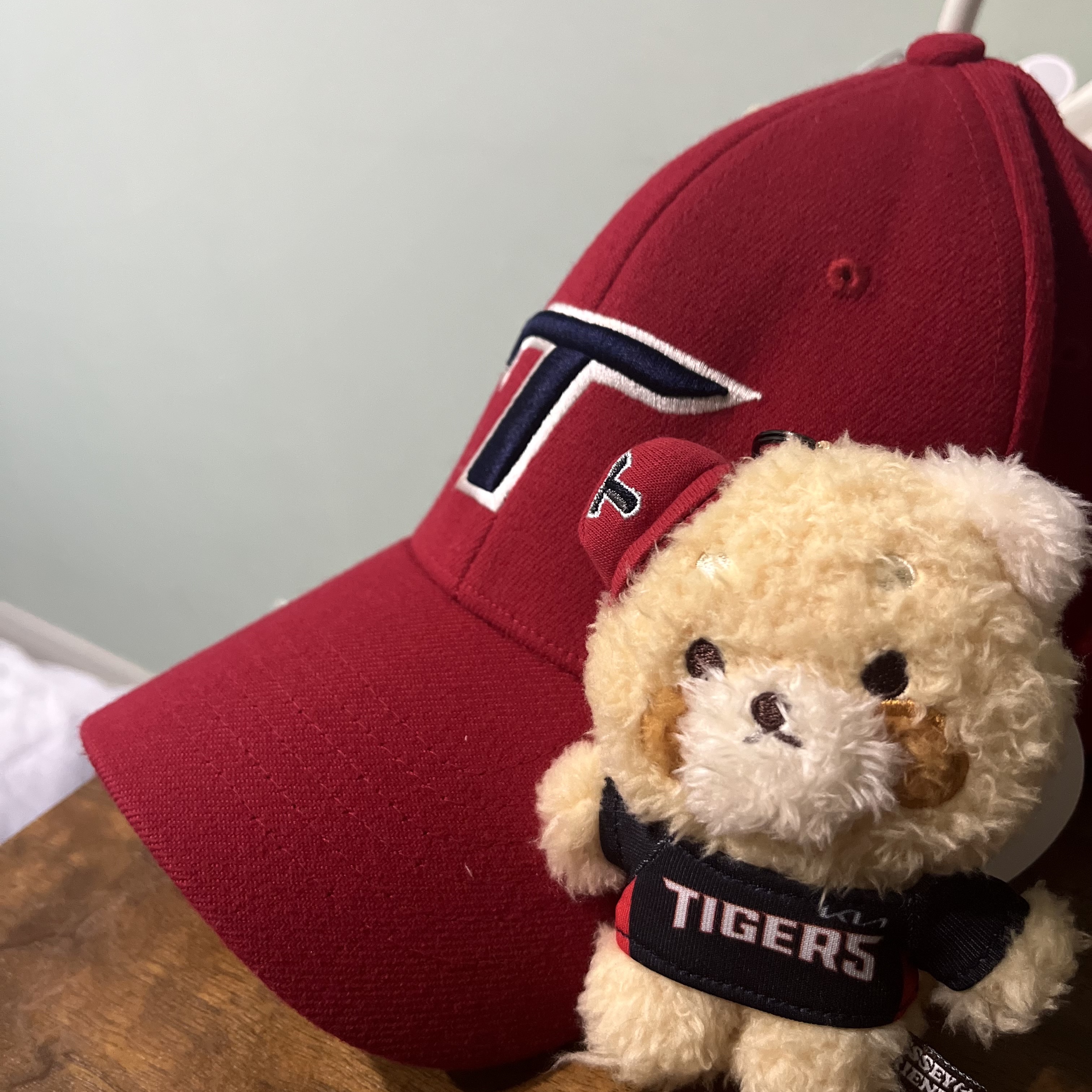 Lessey & Friends x KBO The Strongest Lessey Stuffed Toy Keyring KIA Tigers 착용 스타일