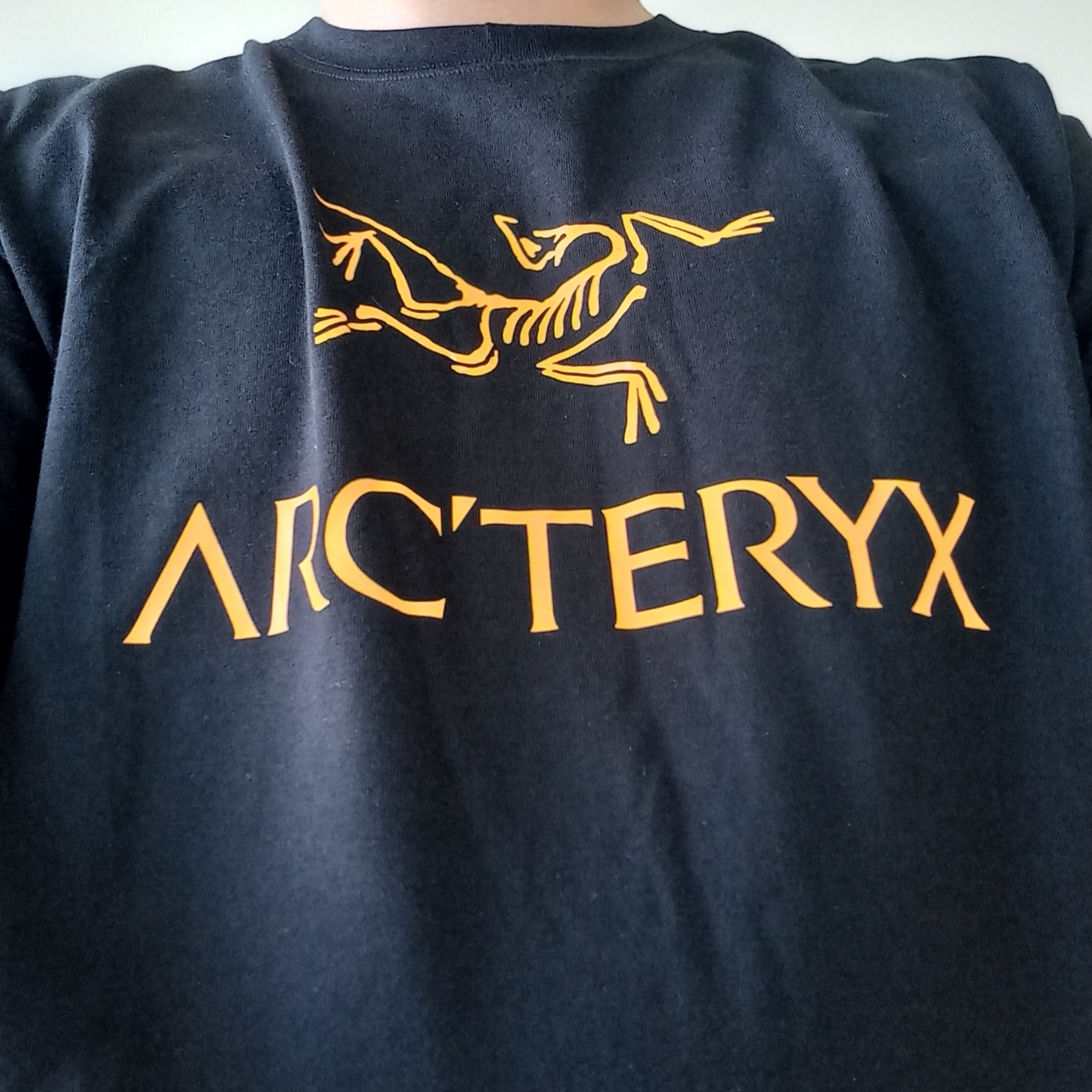 Arc'teryx Arc'word Logo SS T-Shirt Black II, Arc'teryx Cronin Pants Black 착용 스타일 - 6