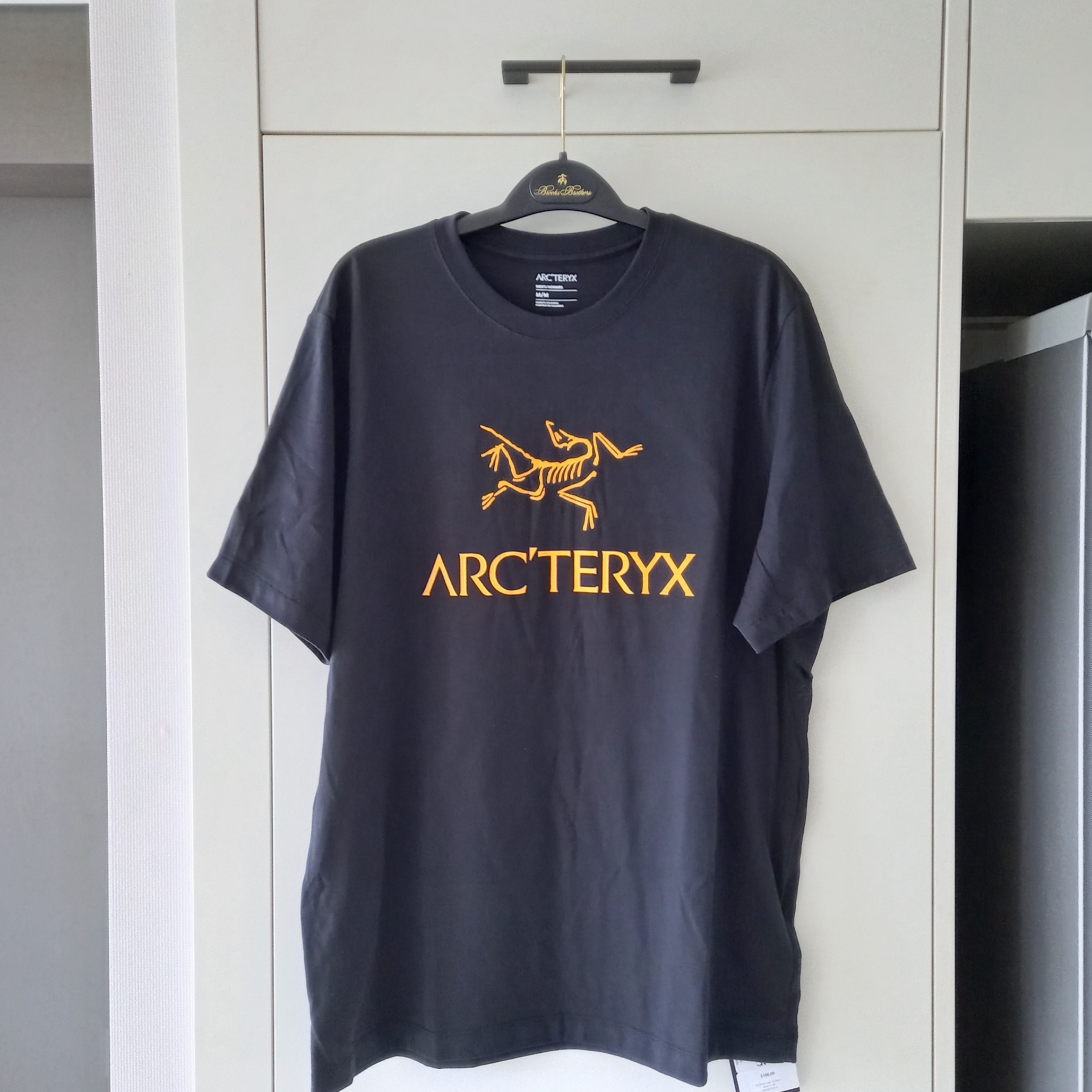 Arc'teryx Arc'word Logo SS T-Shirt Black II 착용 스타일 - 2