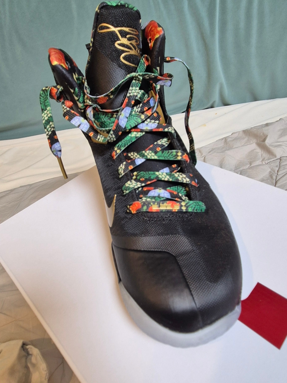 Nike LeBron 9 King 착용 스타일 - 2