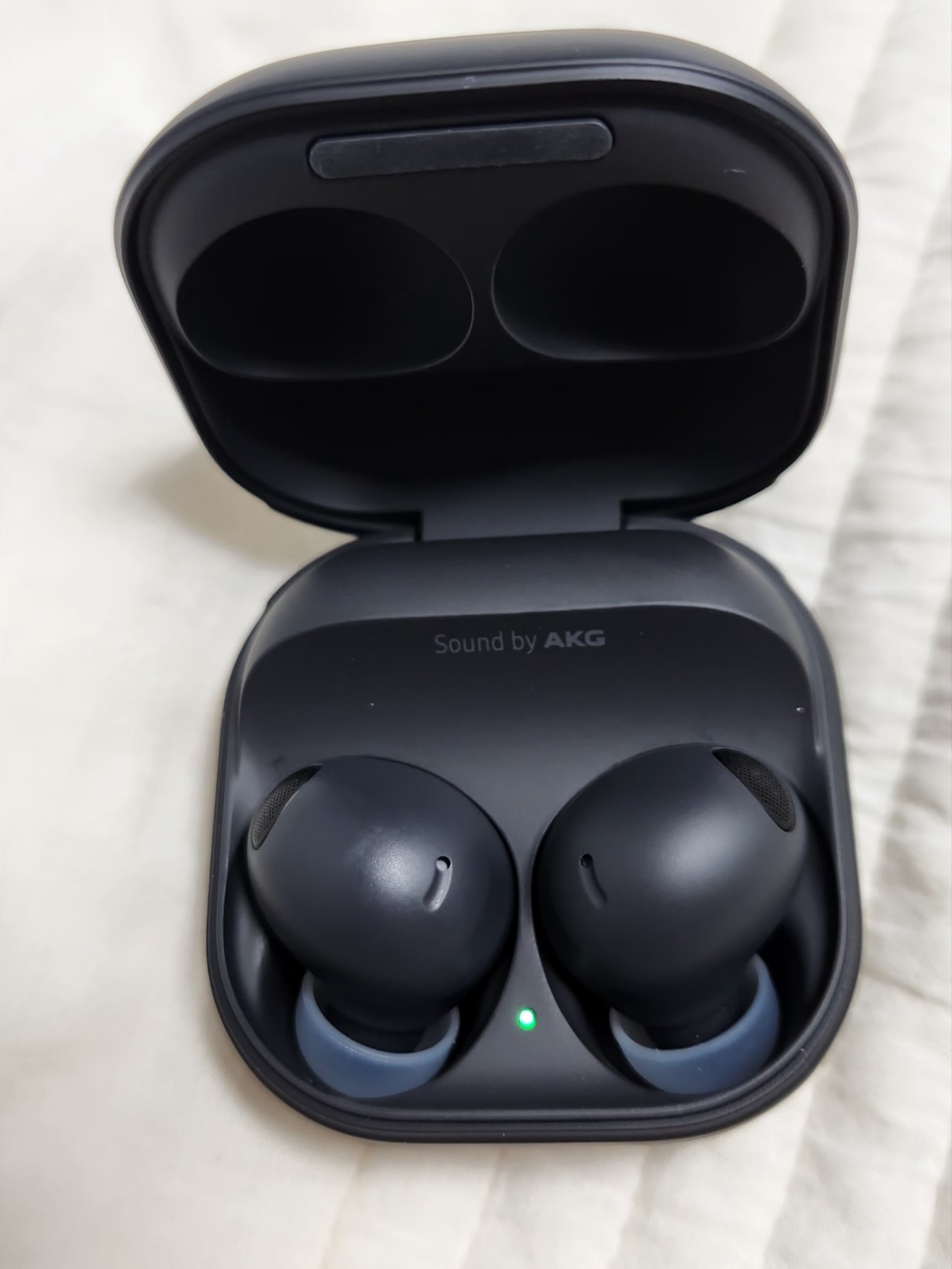 Samsung Galaxy Buds2 Pro Graphite (Korean Ver.) 착용 스타일