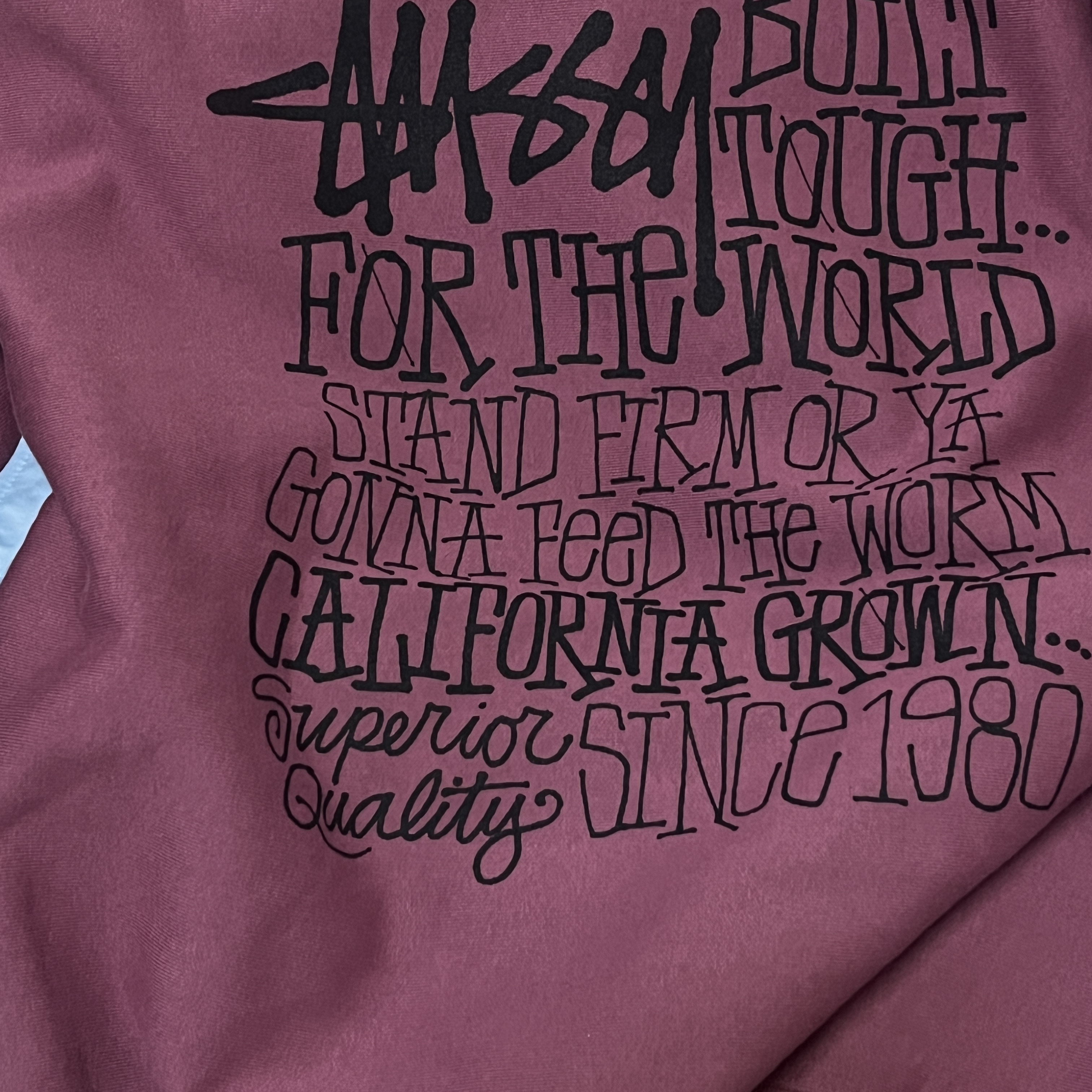Stussy California Grown Hoodie Berry 착용 스타일 - 2