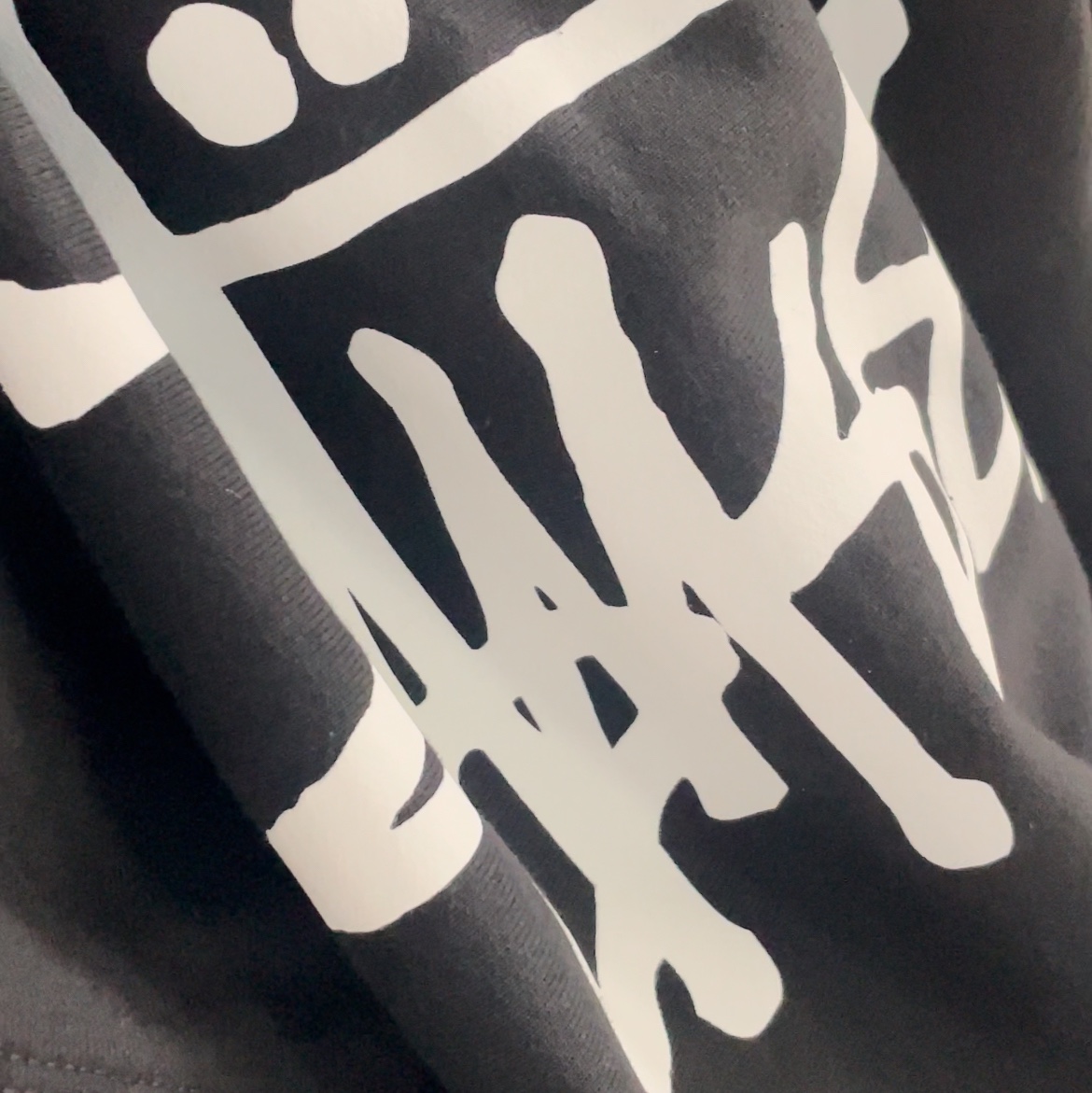 Stussy Basic Zip Hoodie Black 착용 스타일