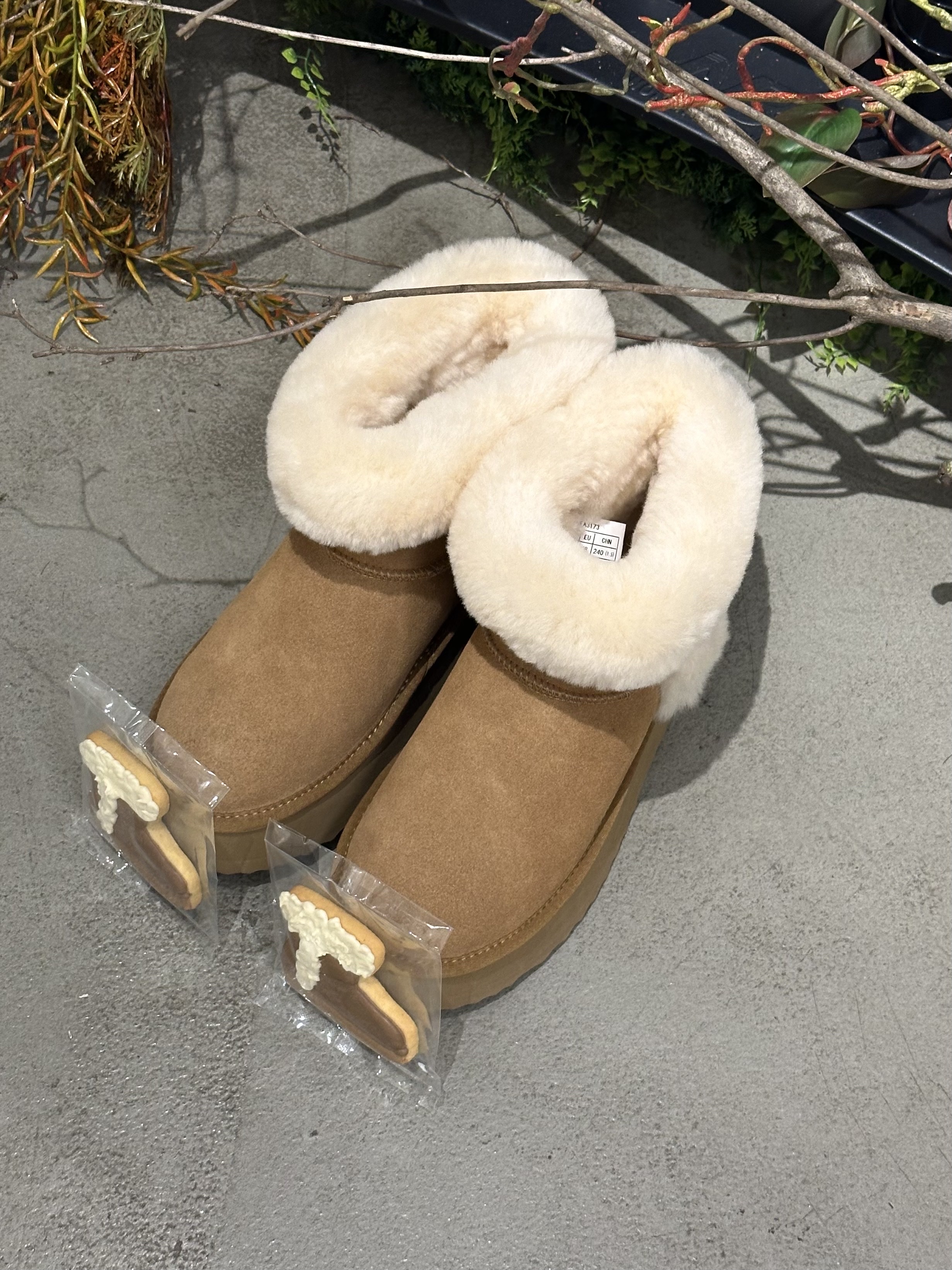 UGG Tasman Weather Hybrid Chestnut Whitecap 착용 스타일 - 10