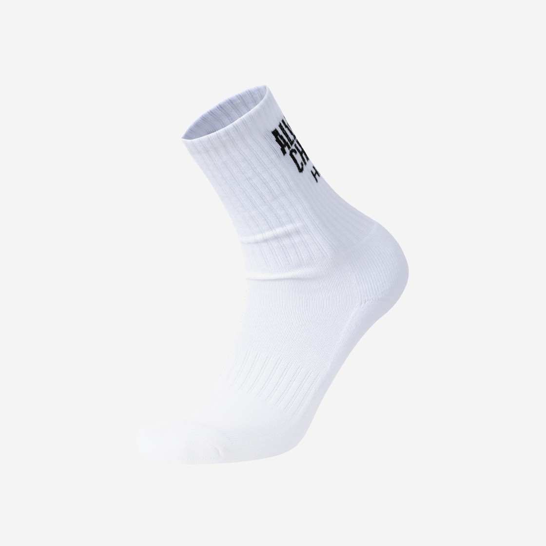 HDEX Champ Socks 2 Color 상세 이미지 1