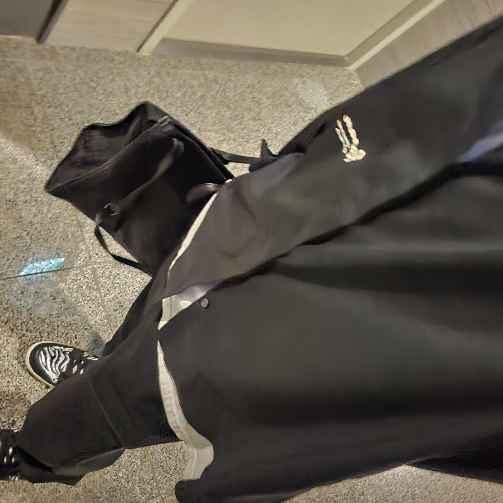 Nike x Quartersnacks SB Dunk Low Zebra Cake 착용 스타일 - 1