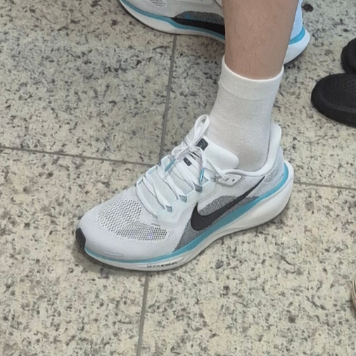 Nike Air Zoom Pegasus 41 White Dusty Cactus 착용 스타일