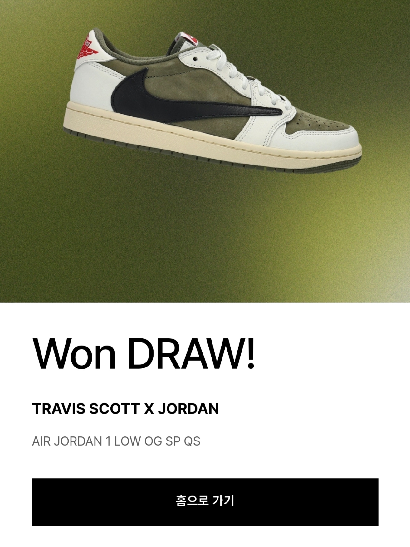 Jordan 1 x Travis Scott Retro Low OG SP Reverse Olive 착용 스타일