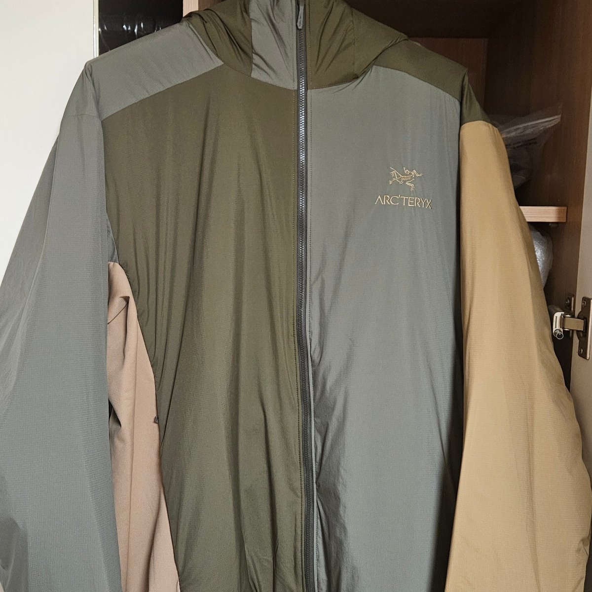 Arc'teryx Atom LT Hoody Tatsu Forage 착용 스타일
