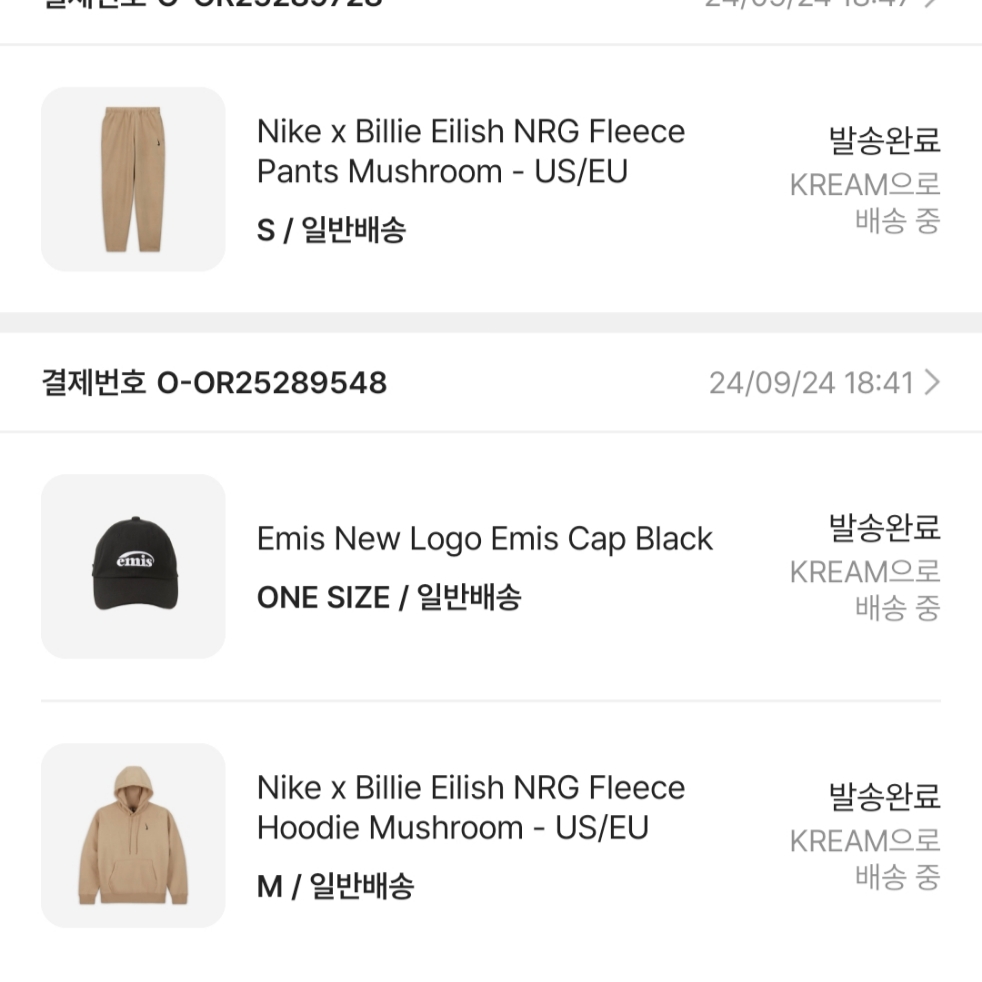 Nike x Billie Eilish NRG Fleece Hoodie Mushroom - US/EU, Nike x Billie Eilish NRG Fleece Pants Mushroom - US/EU 착용 스타일