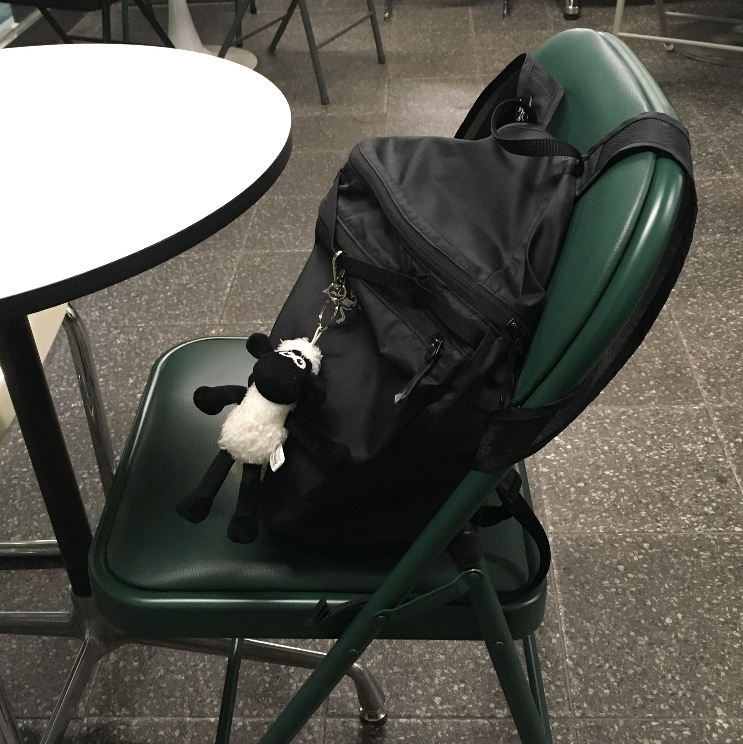 Arc'teryx Heliad 15 Backpack Black 착용 스타일
