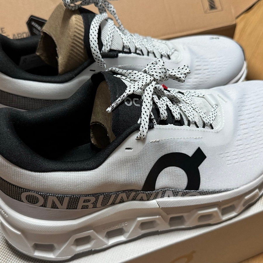 On Running Cloudmonster 2 White Frost 착용 스타일