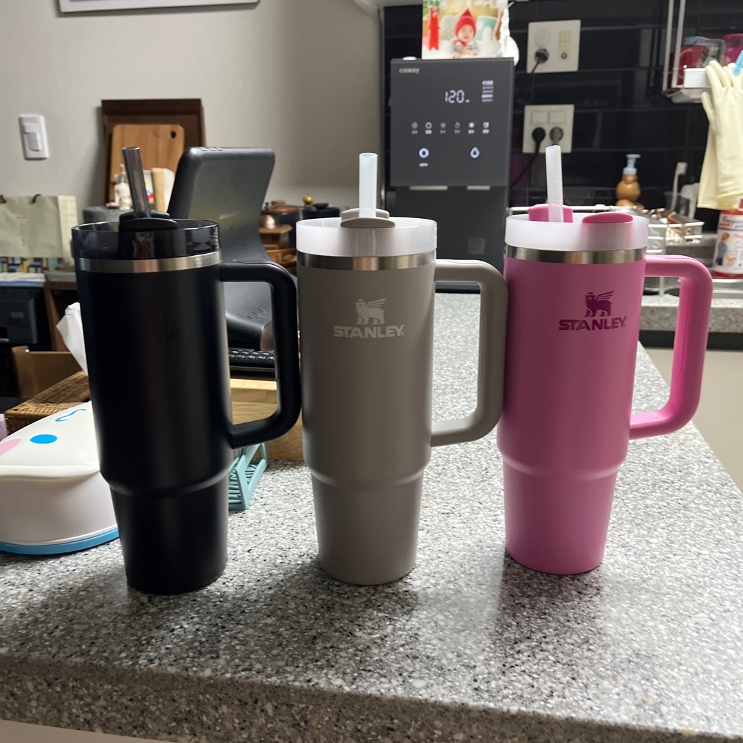 Stanley The Quencher H2.0 FlowState Tumbler 887ml Ash 착용 스타일