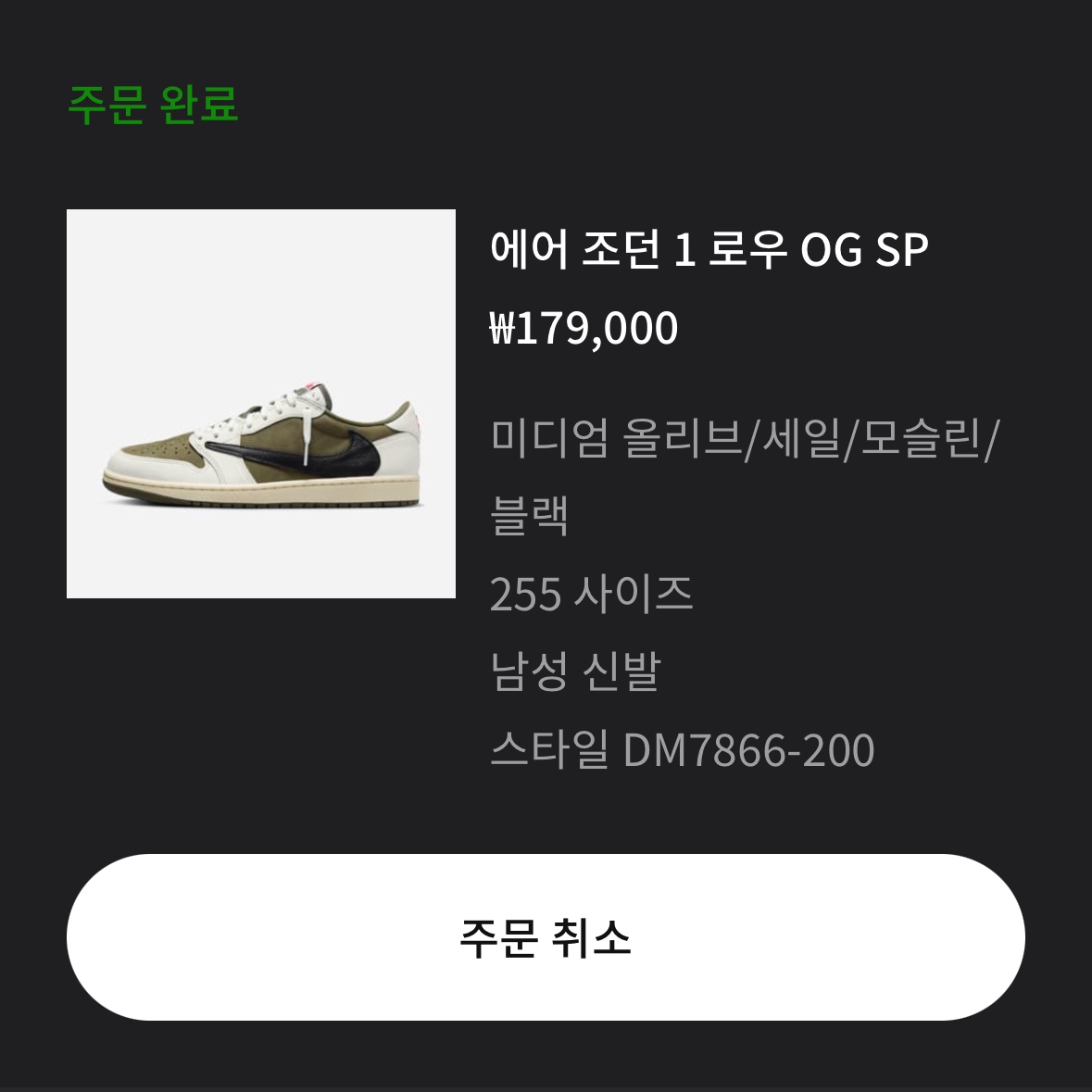 Jordan 1 x Travis Scott Retro Low OG SP Reverse Olive 착용 스타일