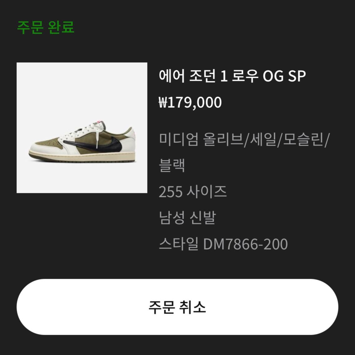 Jordan 1 x Travis Scott Retro Low OG SP Reverse Olive 착용 스타일