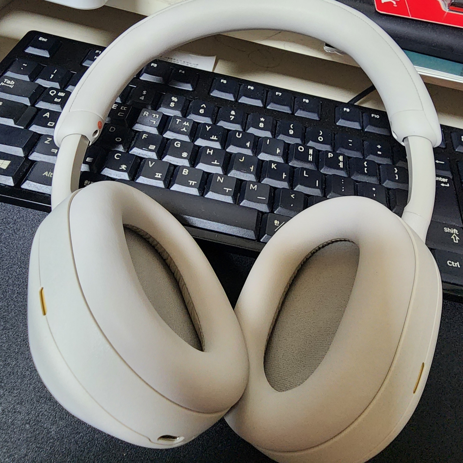 Sony WH-1000XM5 Silver (Sony Korea Ver.) 착용 스타일