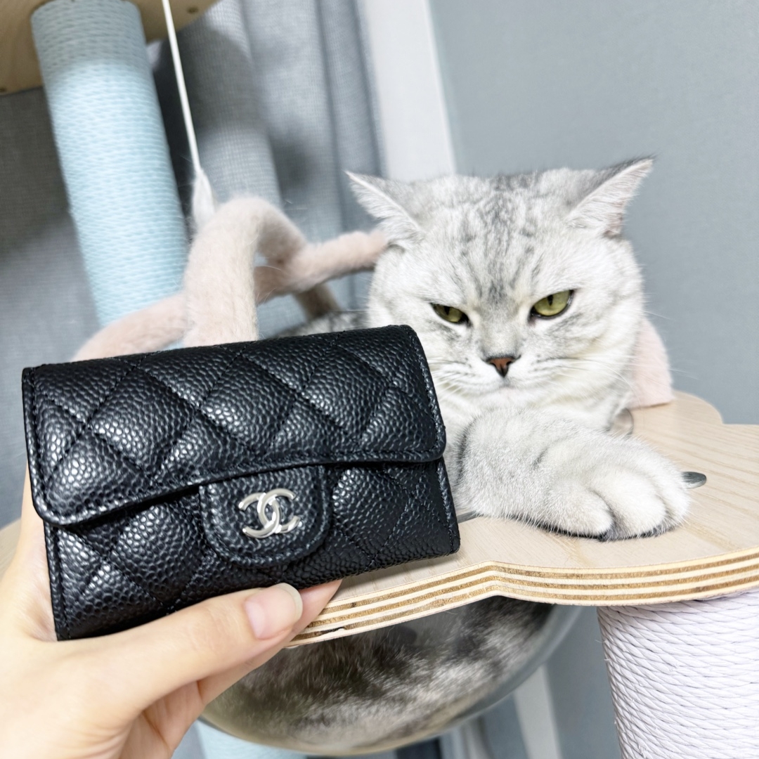 Chanel Classic Card Holder Grained Calfskin & Silver Black 착용 스타일