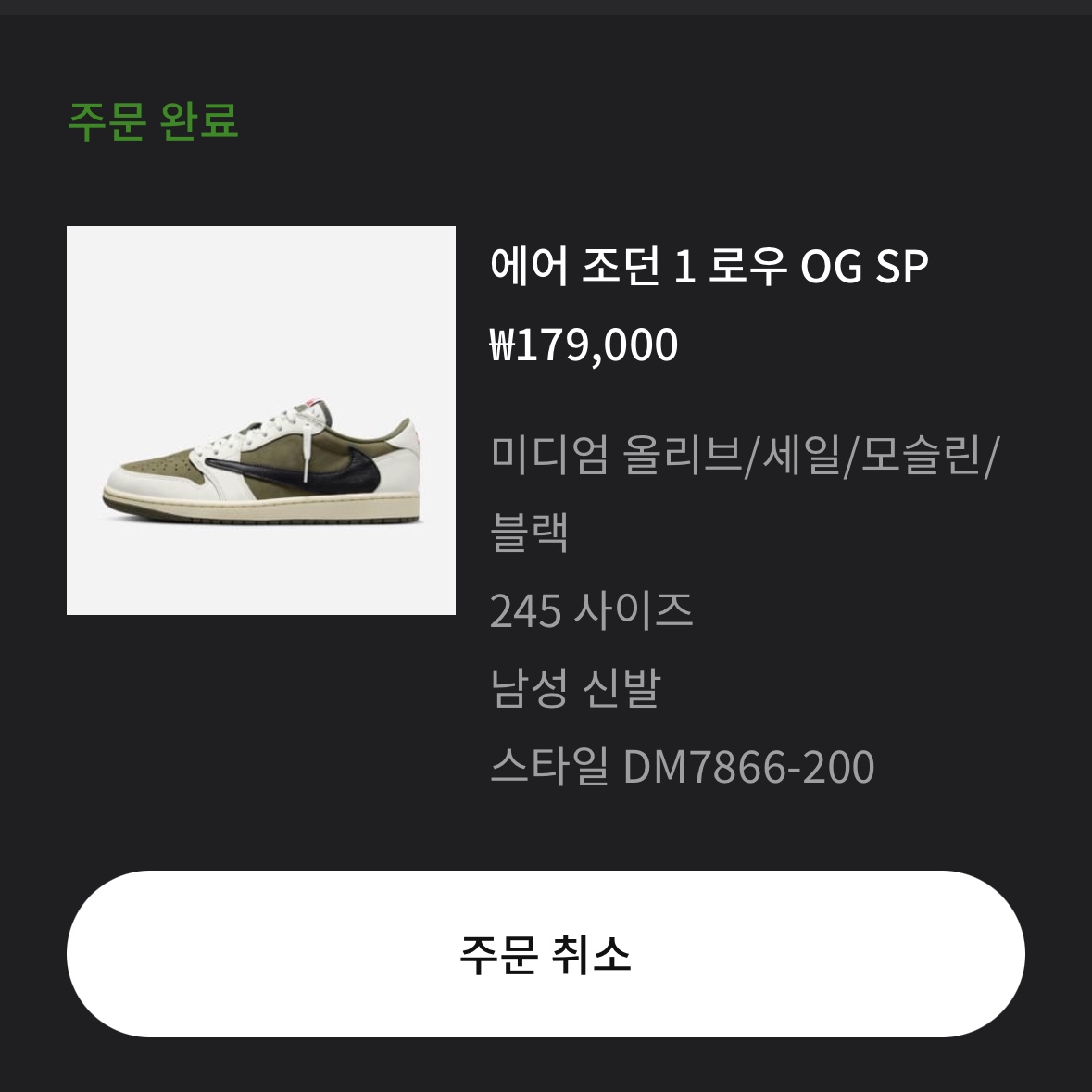 Jordan 1 x Travis Scott Retro Low OG SP Reverse Olive 착용 스타일
