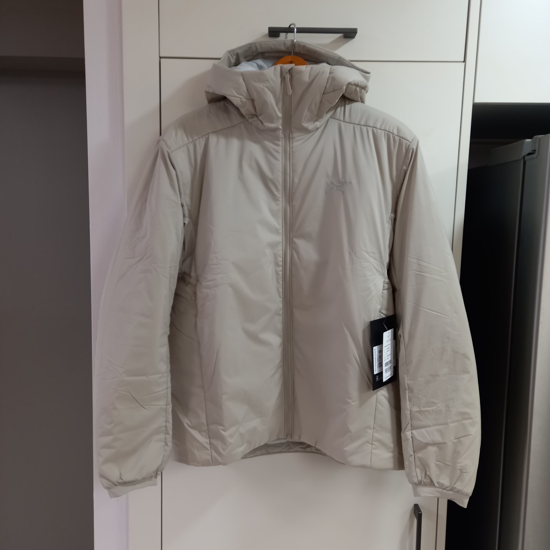 Arc'teryx Atom Heavyweight Hoody Rune 착용 스타일 - 1