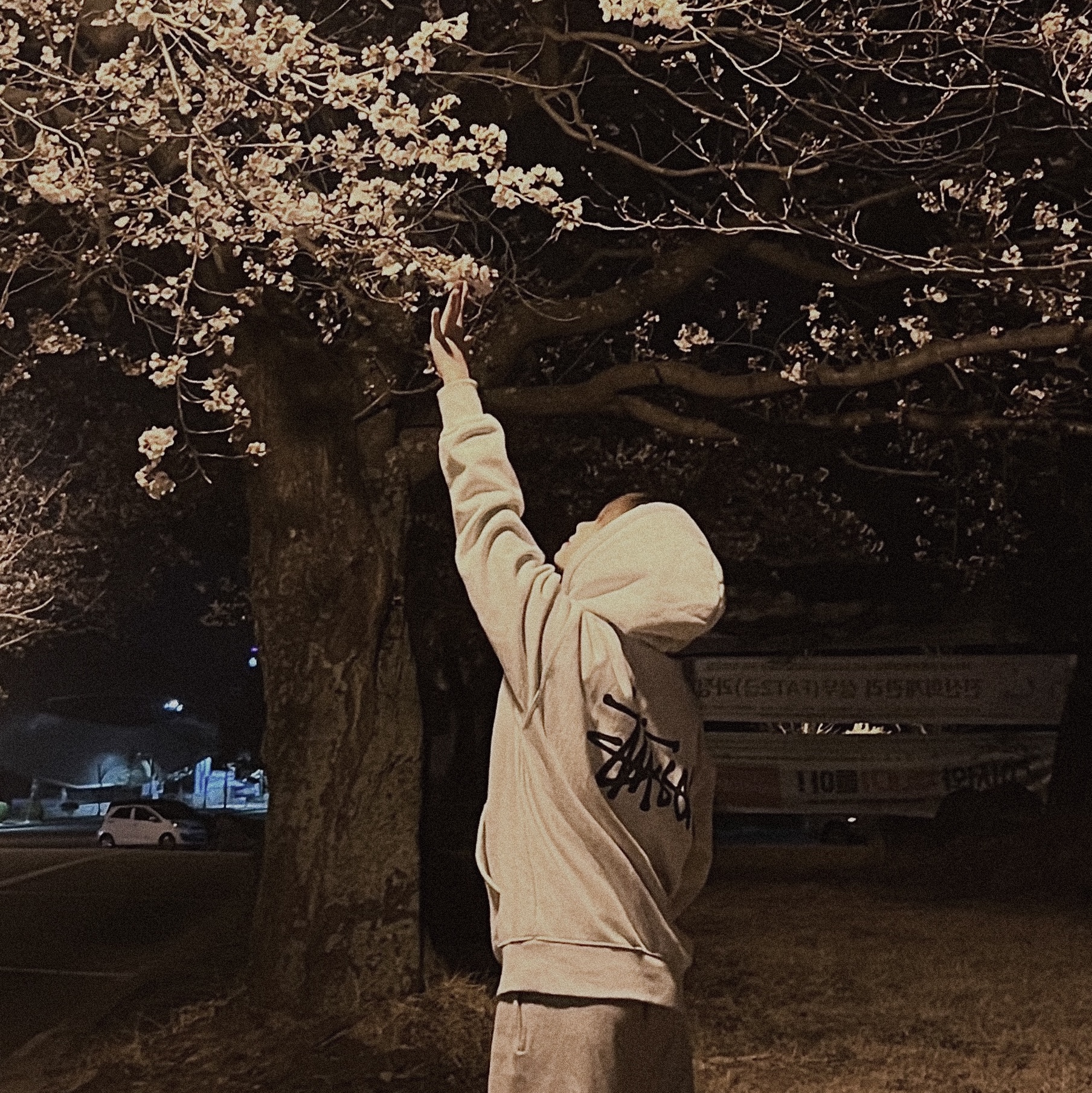 Stussy Basic Stussy Hoodie Ash Heather 2023 착용 스타일
