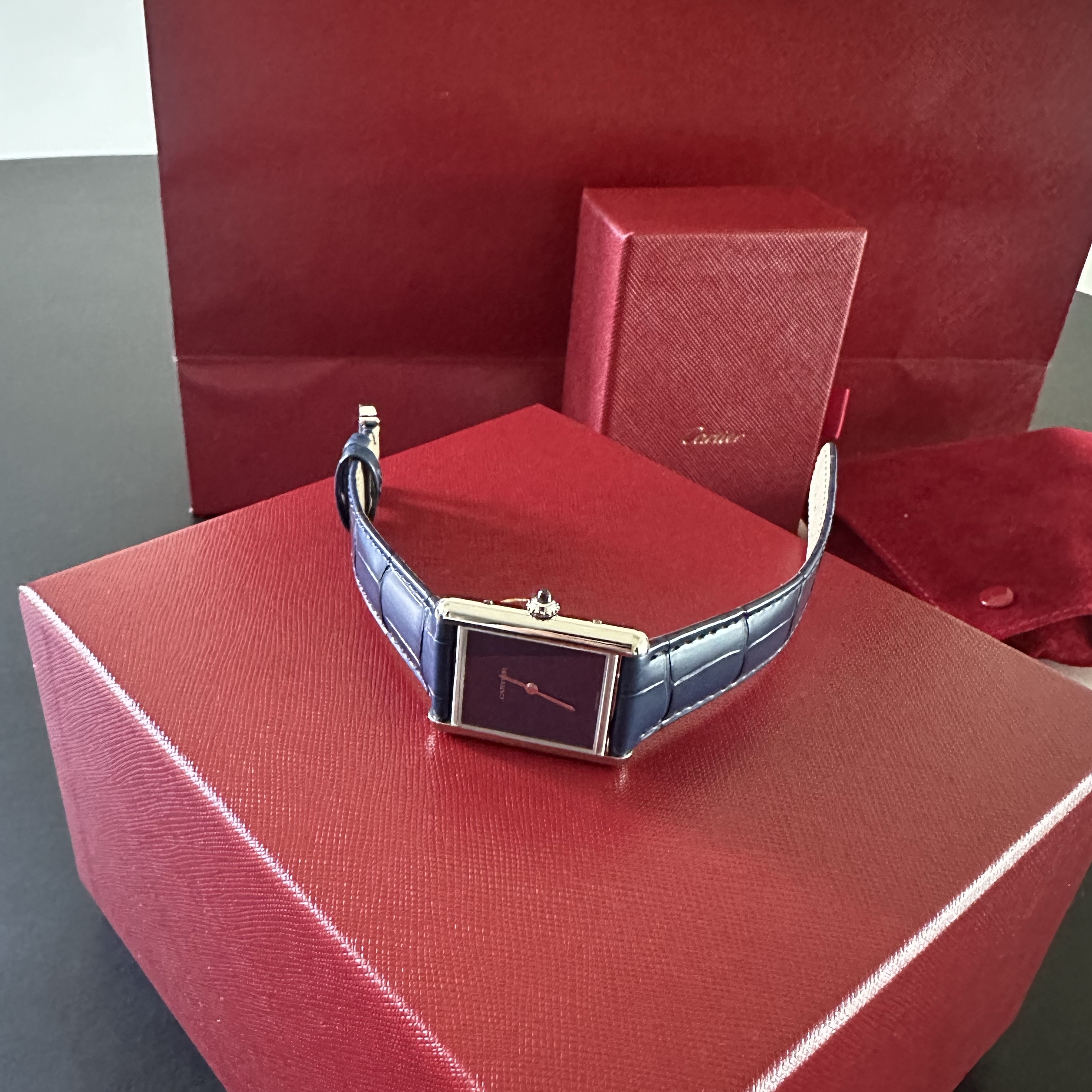 Cartier Tank Must Watch Large Quartz Steel Alligator Skin Blue, Rolex Sky-Dweller 42mm 336934 Bright Black Jubilee 착용 스타일 - 4