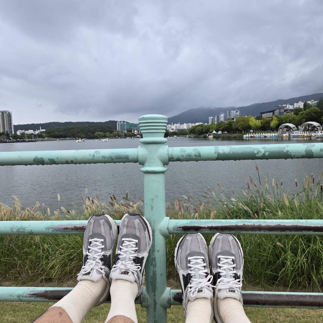 (W) Nike Zoom Vomero 5 Cobblestone and Flat Pewter 착용 스타일