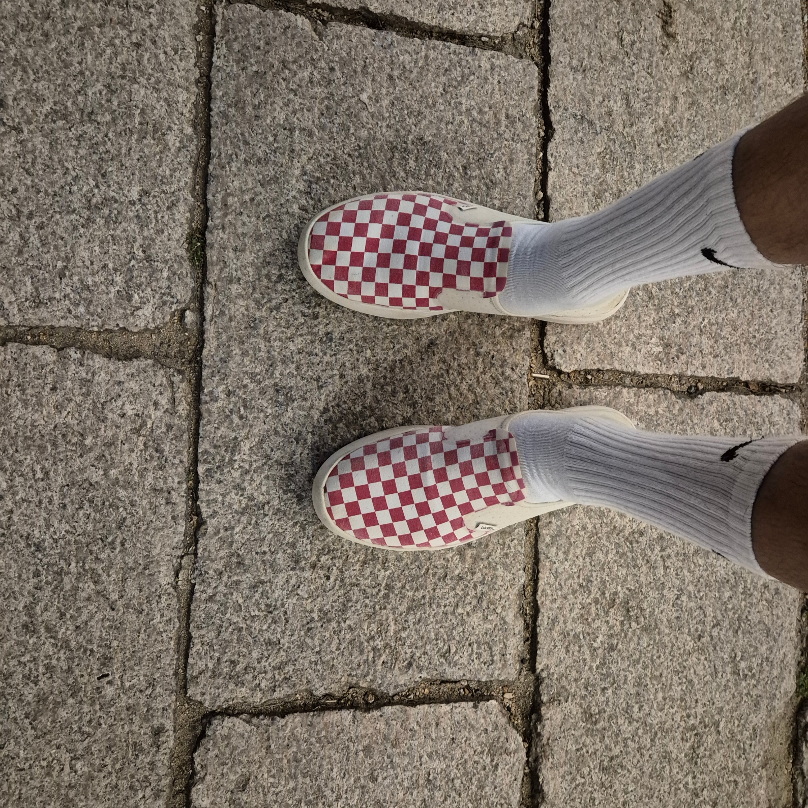 Vans ComfyCush One Checkerboard Racing Red Marshmallow 착용 스타일