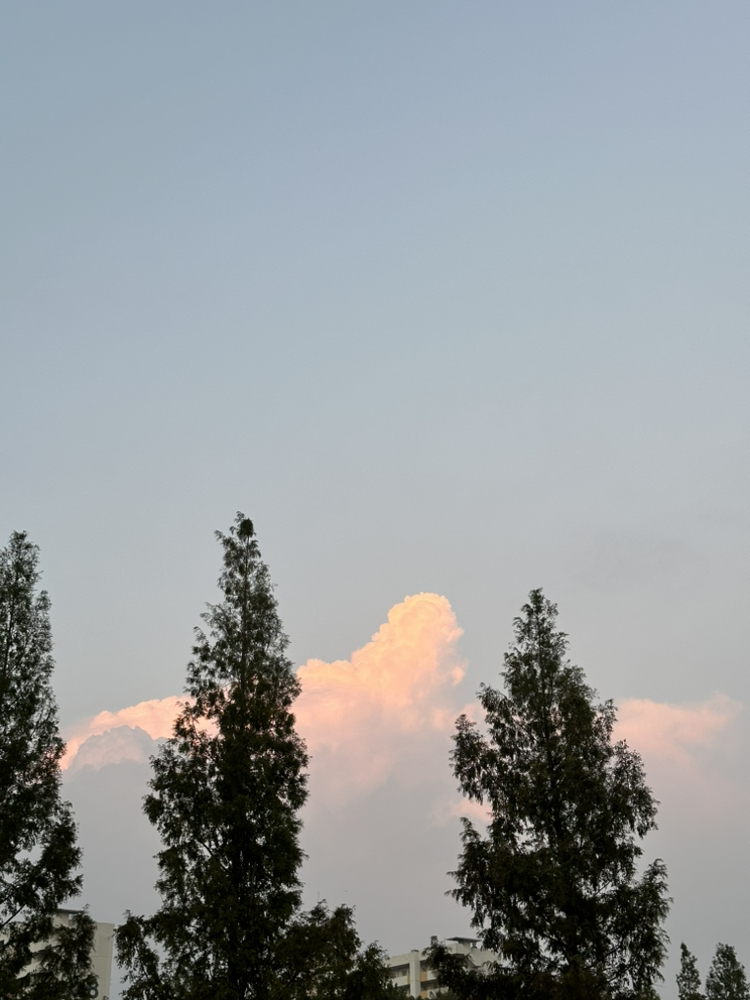 관심 유저 프로필 이미지