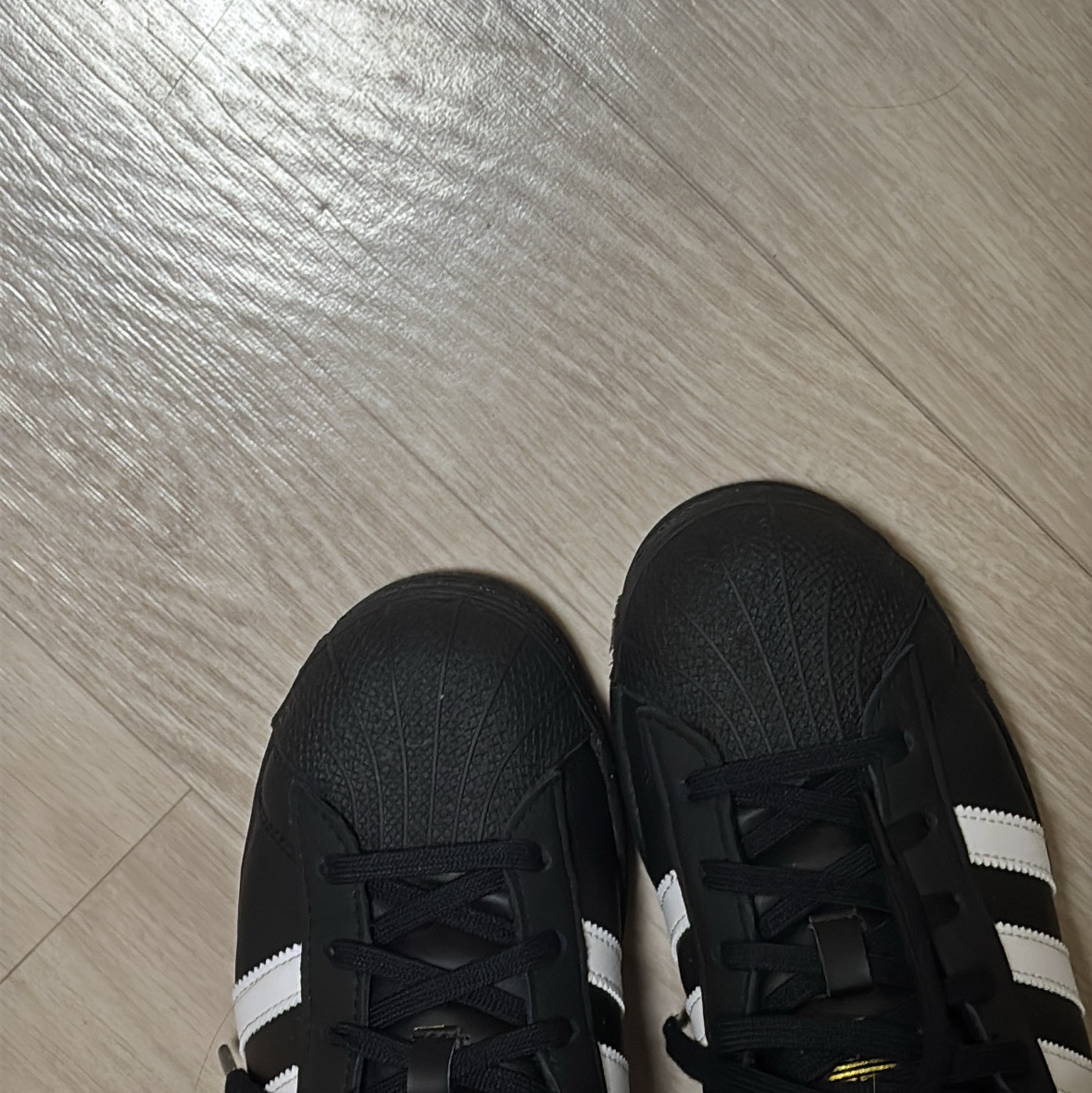 (J) Adidas Superstar Black White 착용 스타일 - 2