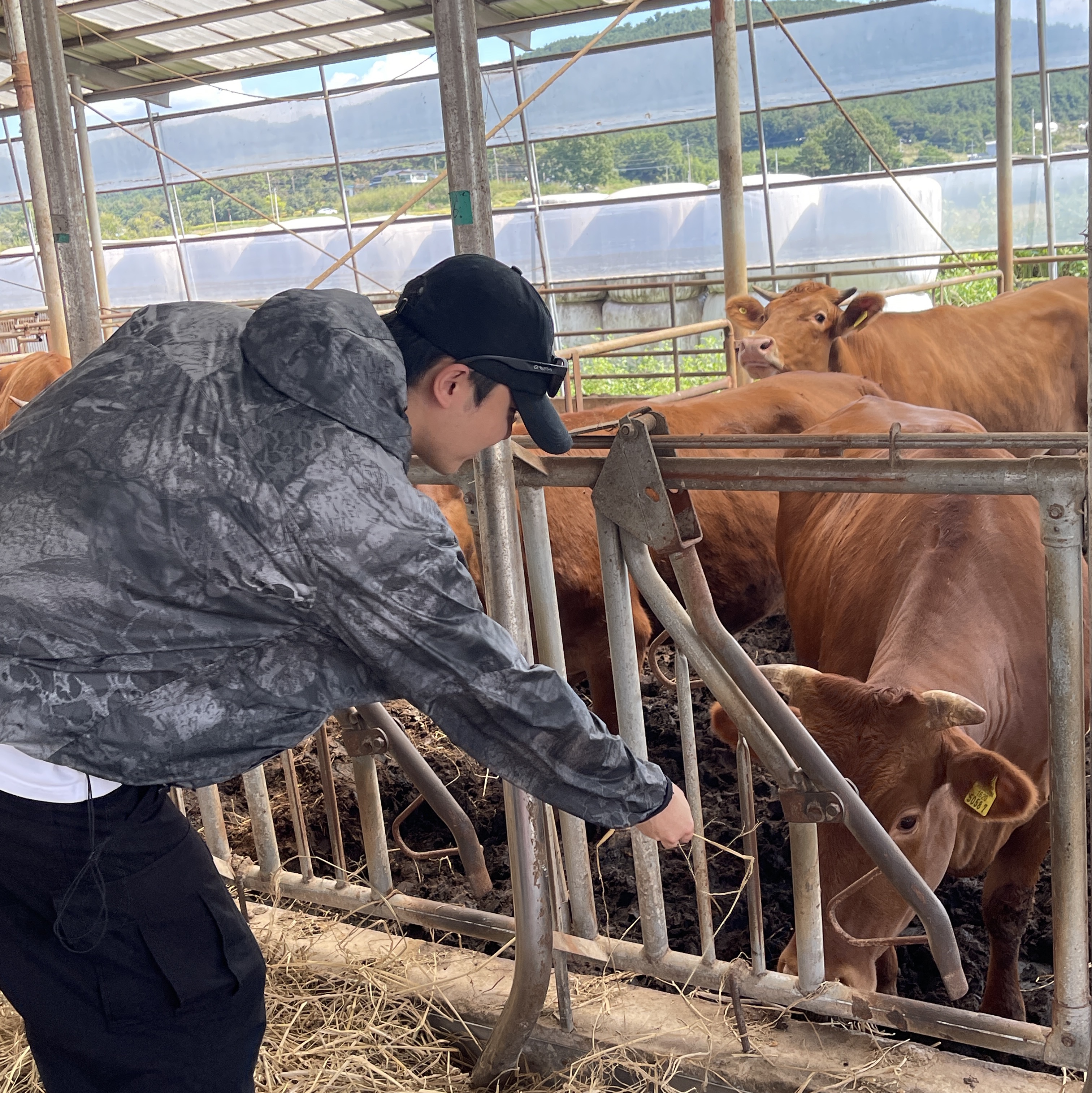 Nike ACG Cinder Cone Windshell Jacket Black - US/EU, Nike Air Force 1 '07 WB Flax 착용 스타일 - 1