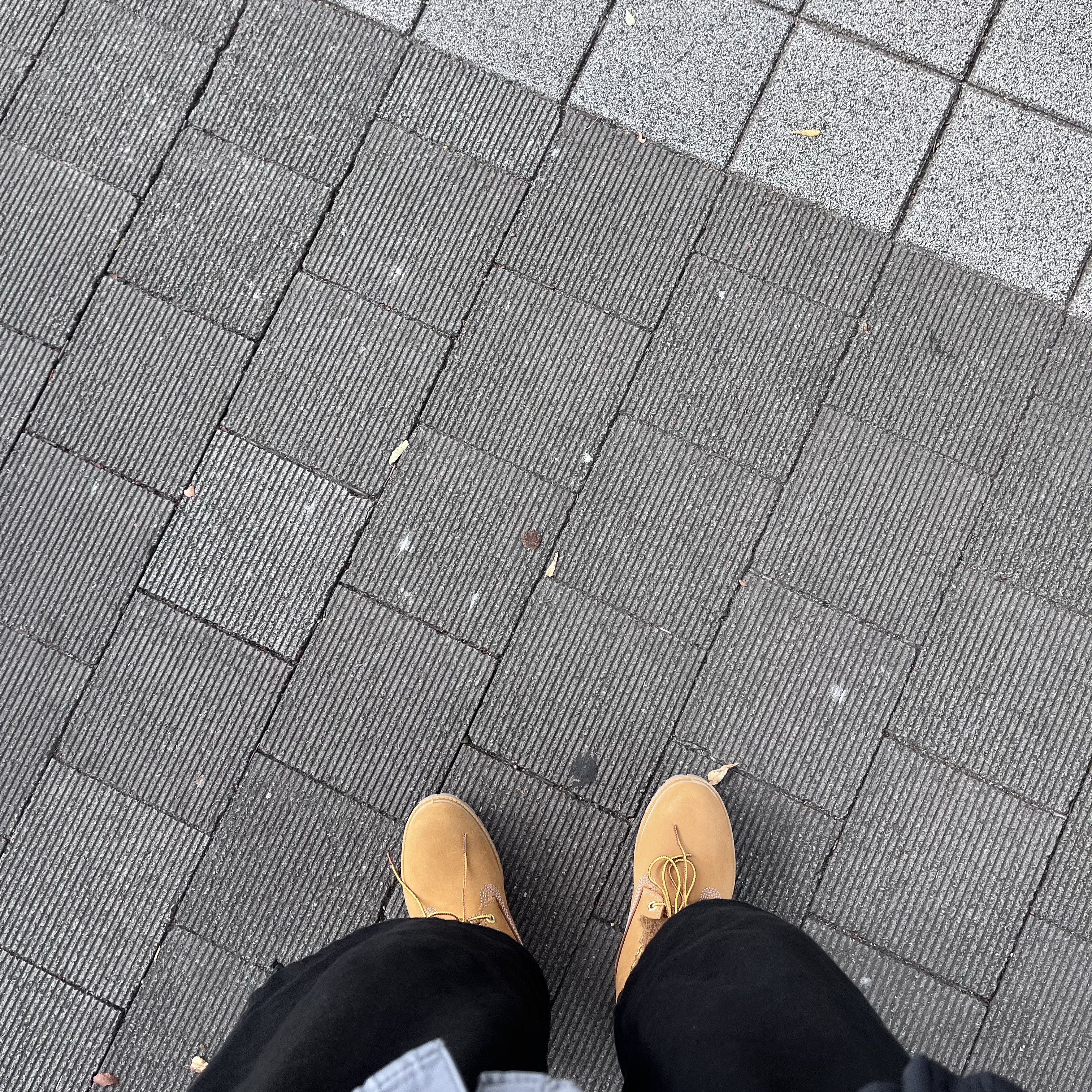 Timberland Premium 6 inch Waterproof Boot Wheat Nubuck - Wide 착용 스타일 - 3