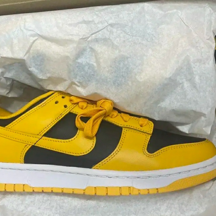 Nike Dunk Low Retro Championship Goldenrod 착용 스타일