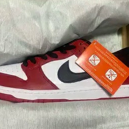 Nike SB Dunk Low Pro Chicago 착용 스타일