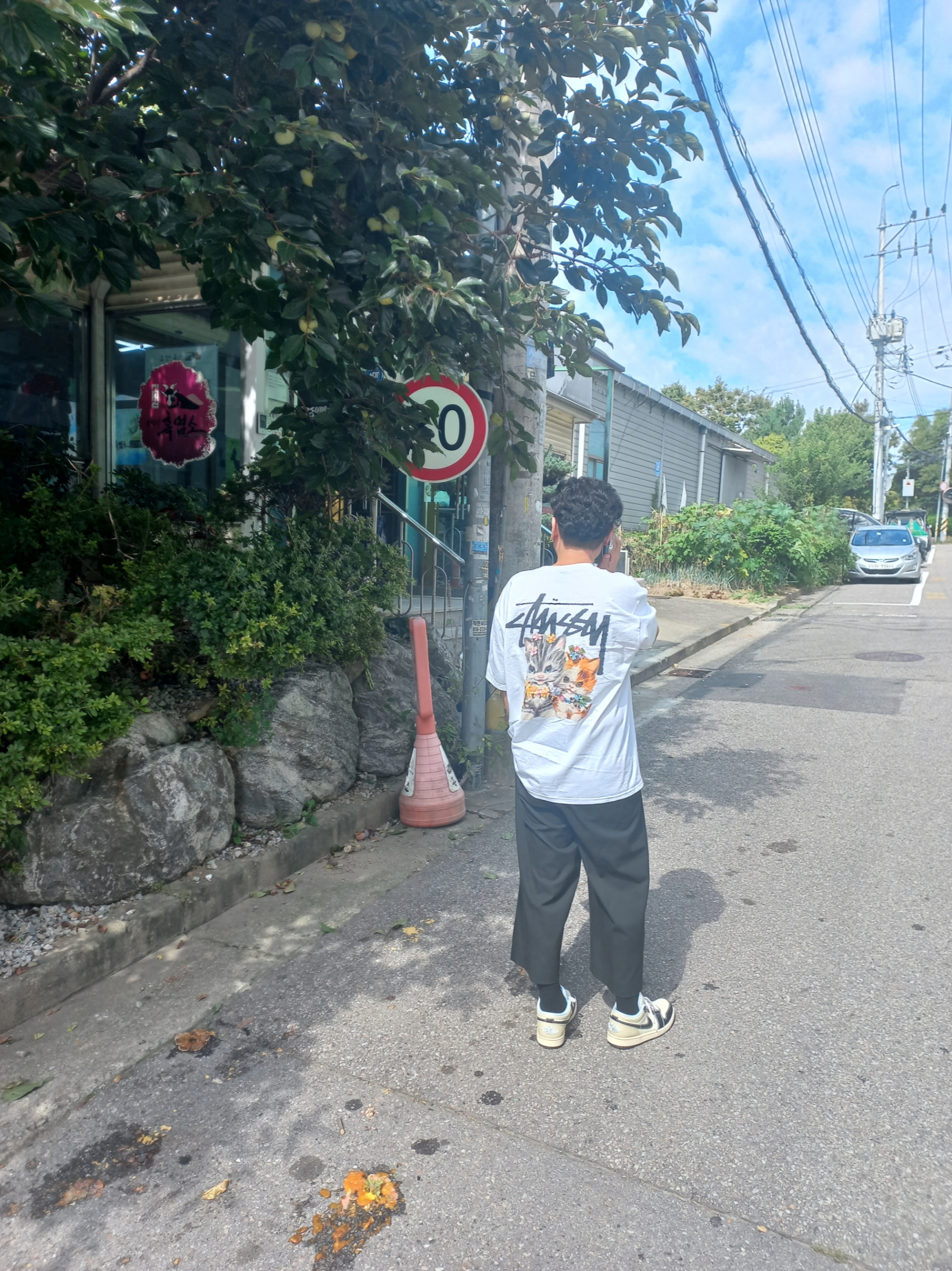 Stussy Kittens T-Shirt White 착용 스타일