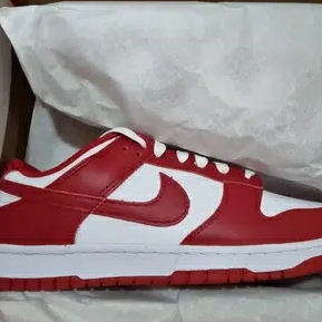 Nike Dunk Low Retro Gym Red 착용 스타일