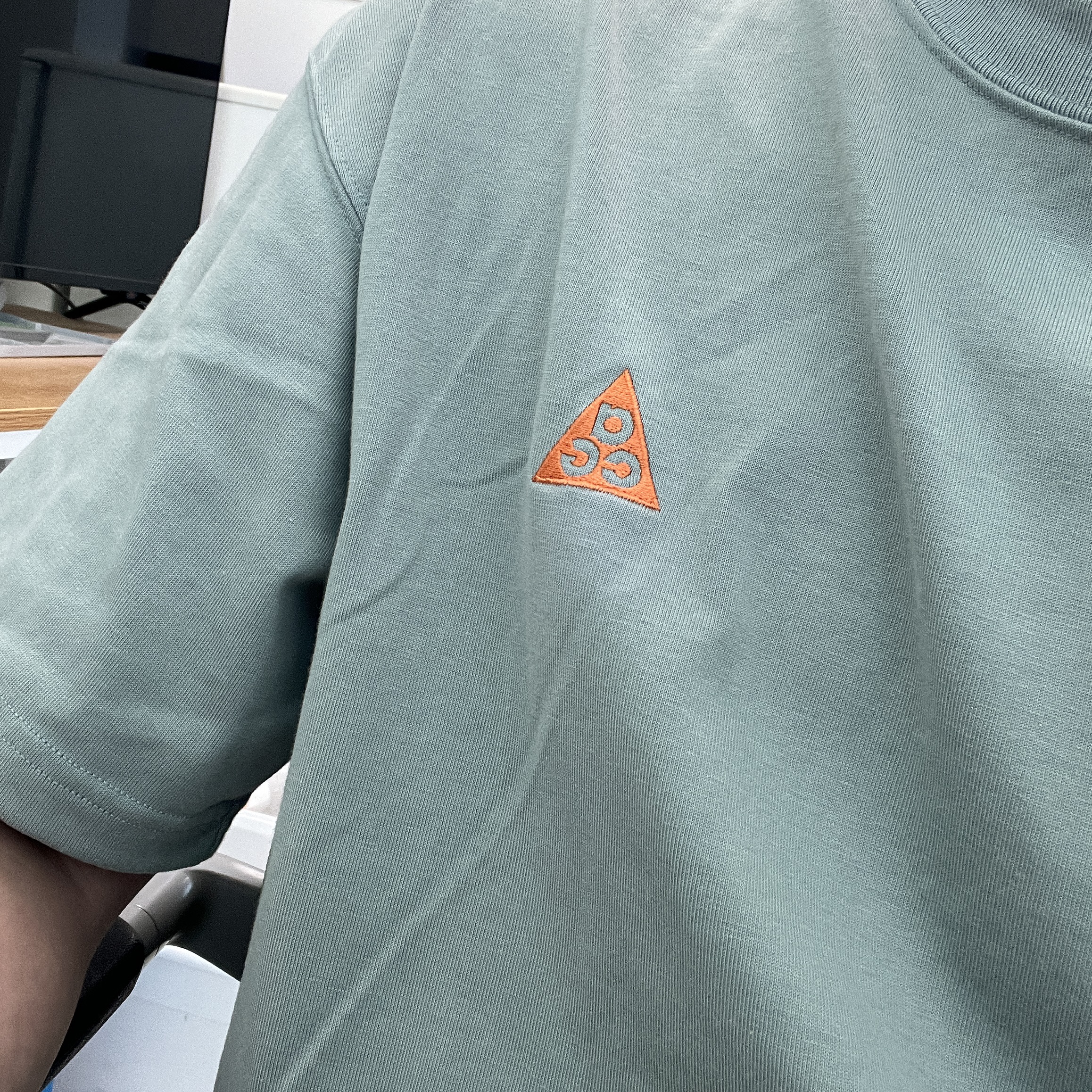 Nike ACG LBR T-Shirt Mica Green - Asia 착용 스타일