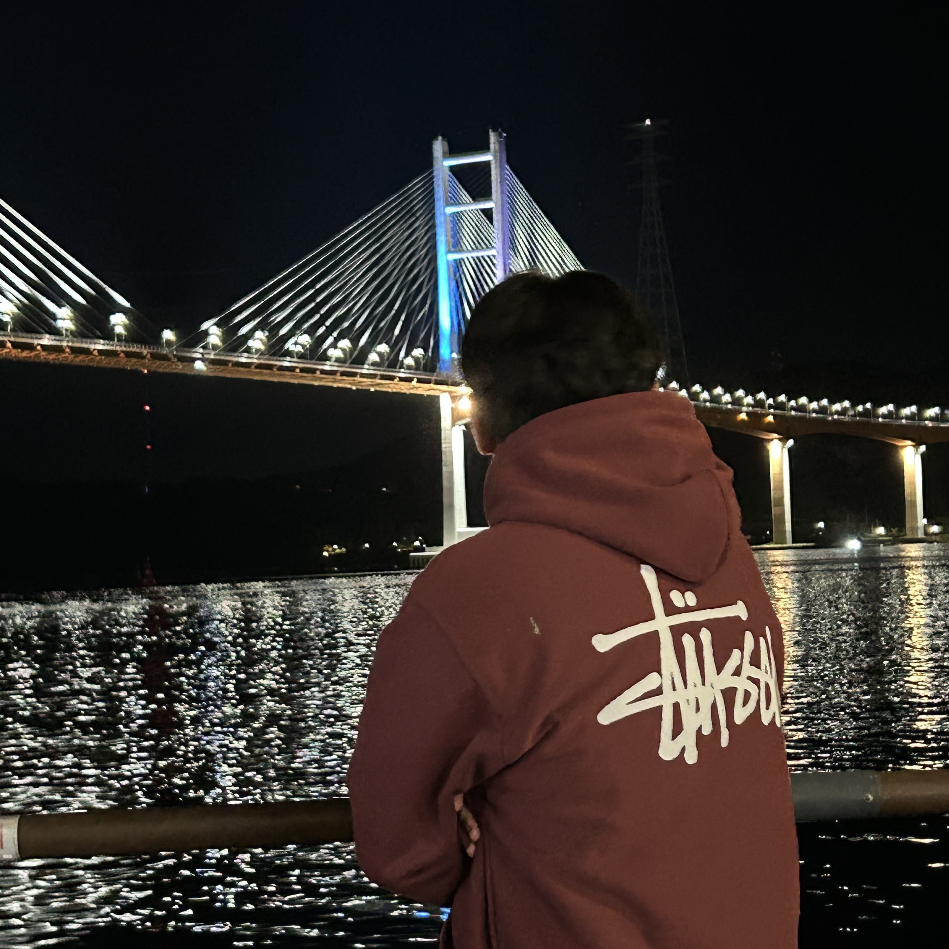 Stussy Basic Stussy Hoodie Oxblood 2024, Nike Air Force 1 '07 WB Flax 착용 스타일 - 2