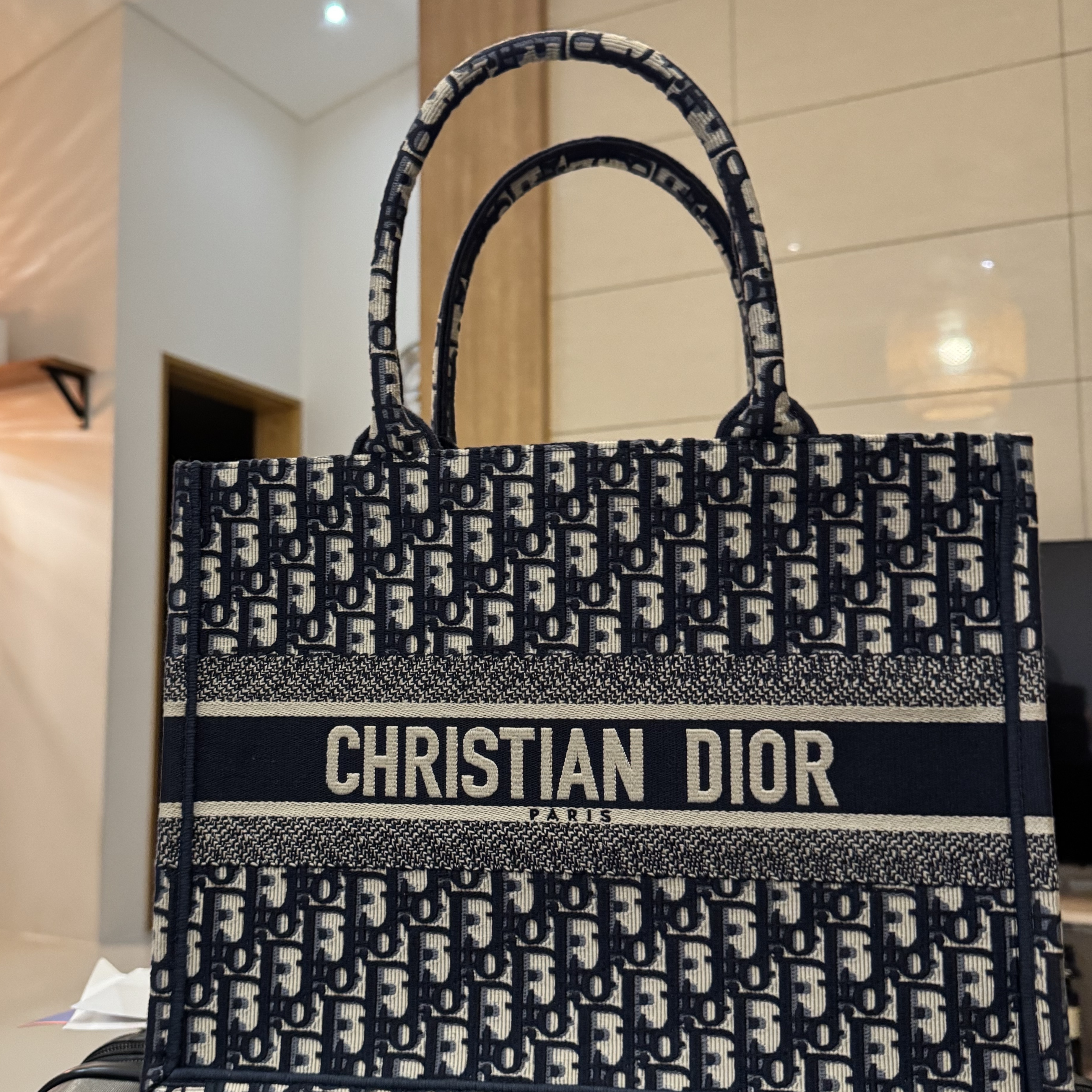 Dior Medium Book Tote Blue Dior Oblique Embroidery 착용 스타일
