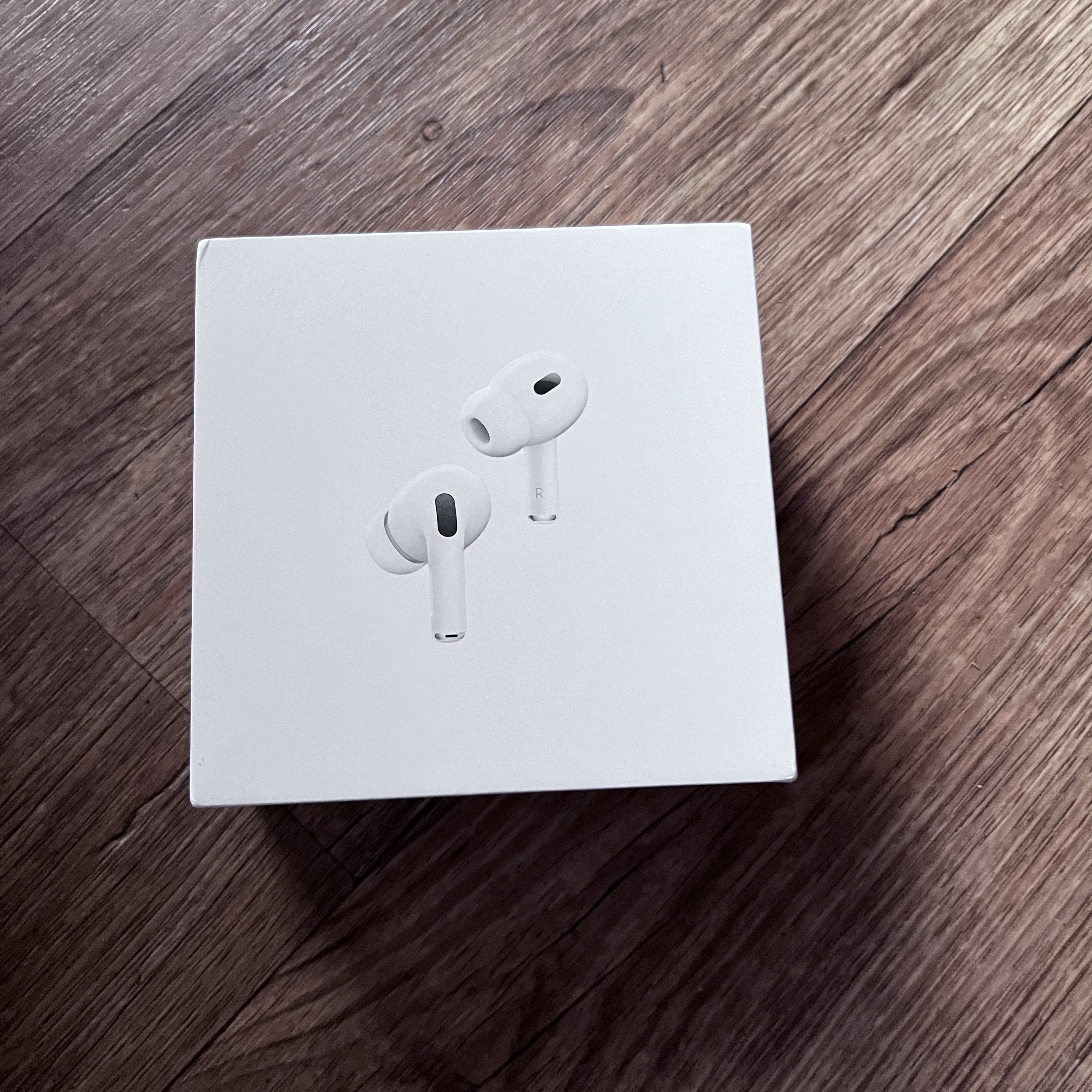 Apple Airpods Pro 2nd Gen with MagSafe Charging Case USB C (Korean Ver.) 착용 스타일