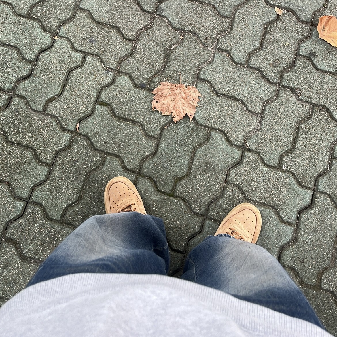 Nike Air Force 1 '07 WB Flax 착용 스타일