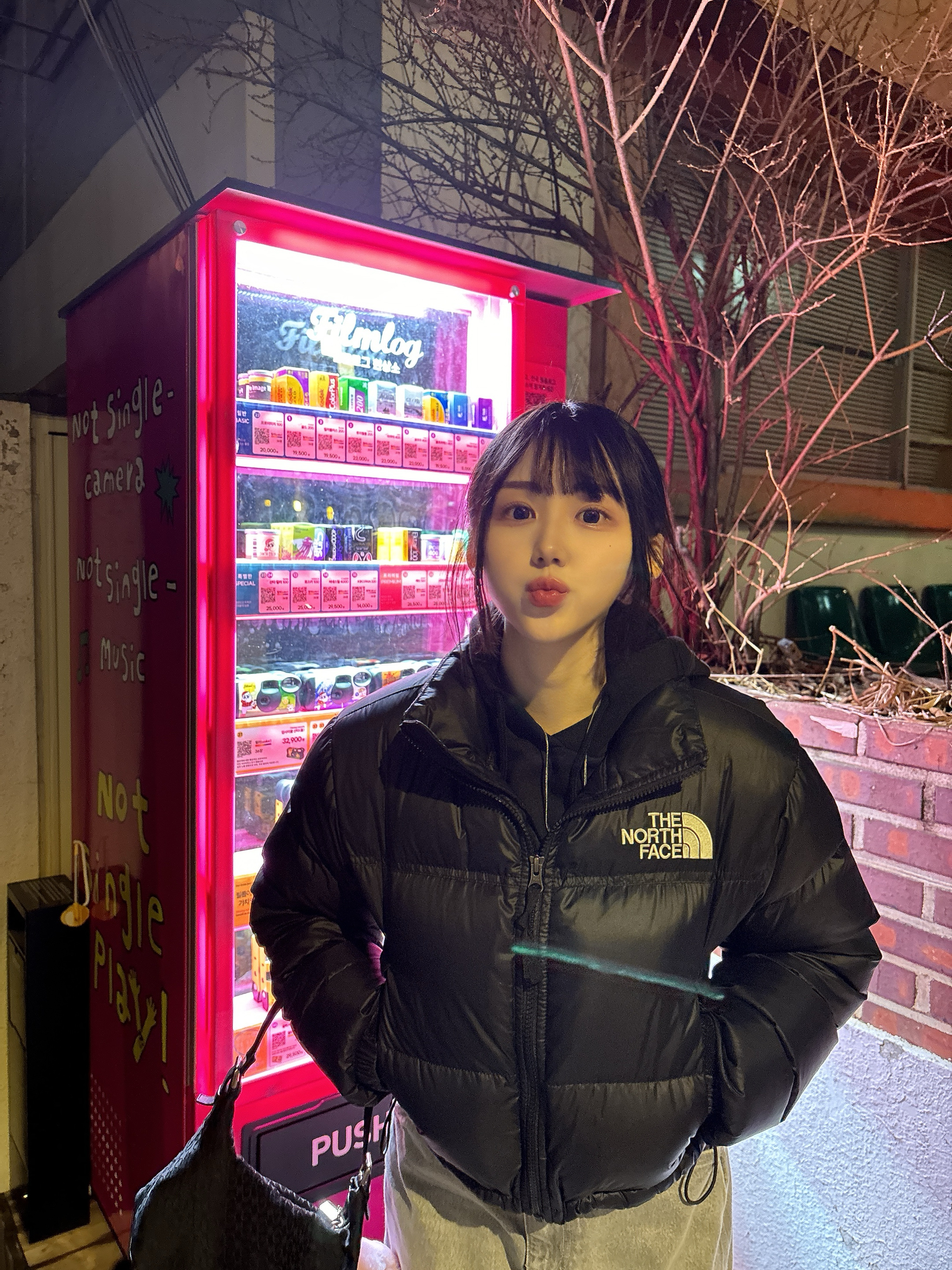(W) The North Face Nuptse Short Jacket Black 착용 스타일 - 2